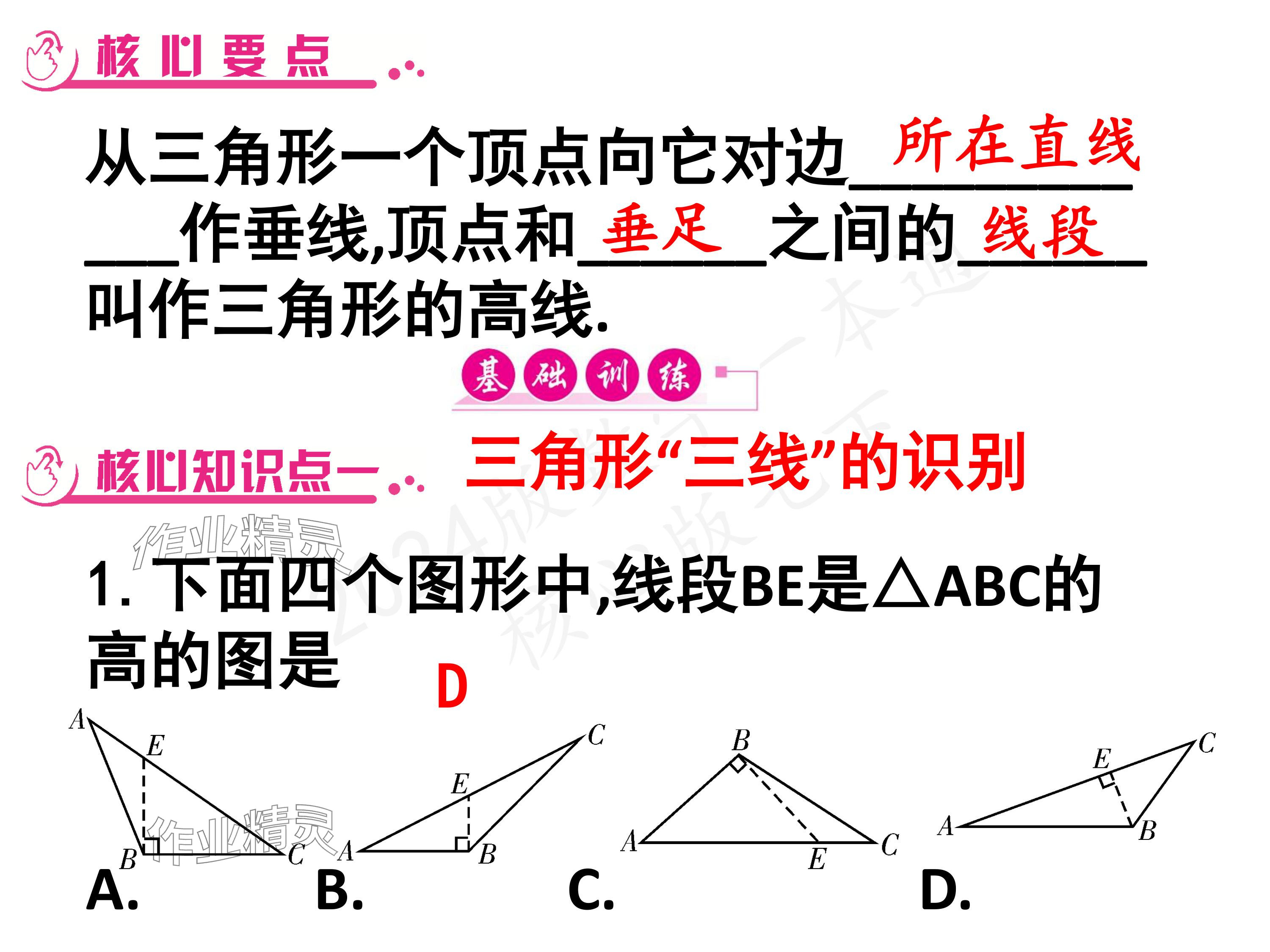 2024年一本通武漢出版社七年級數(shù)學下冊北師大版 參考答案第38頁