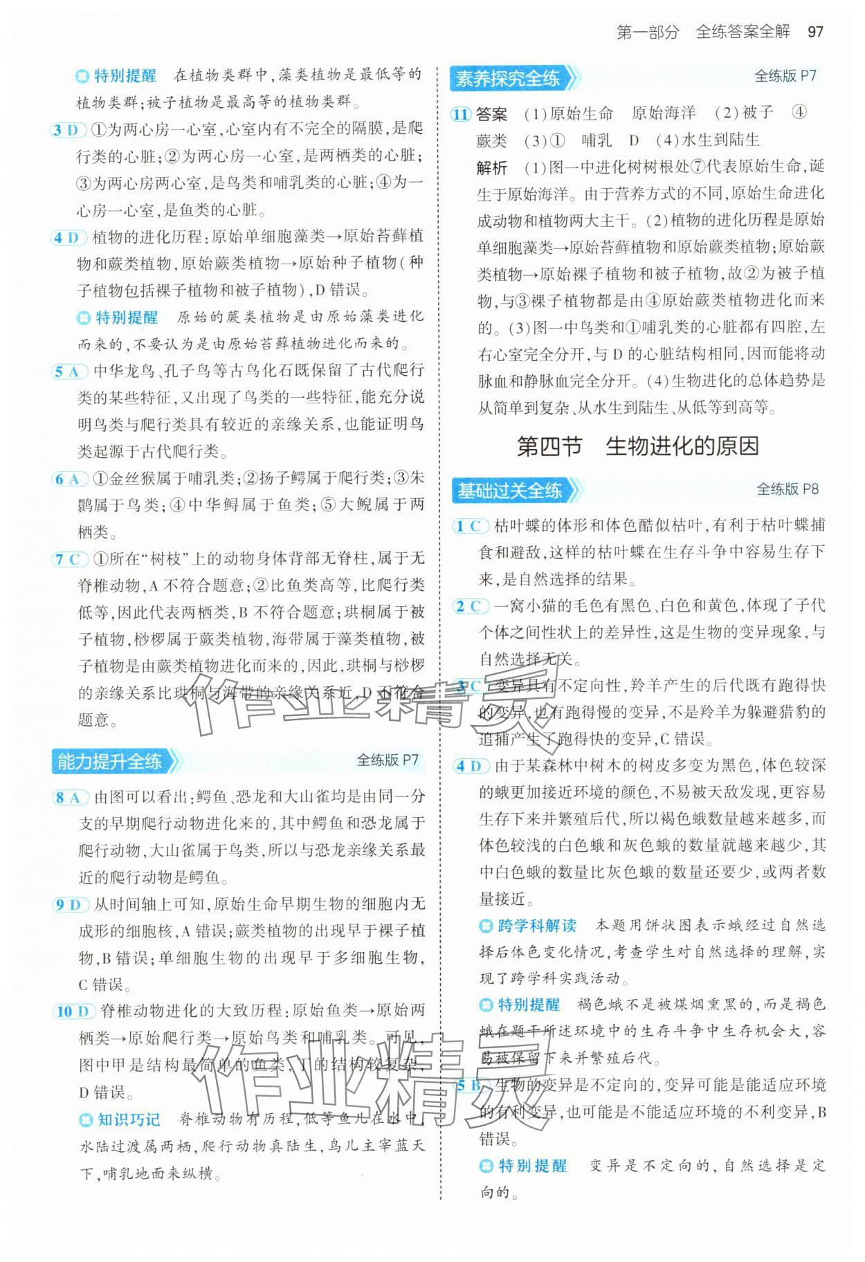 2025年5年中考3年模擬八年級(jí)生物下冊(cè)濟(jì)南版 第3頁(yè)