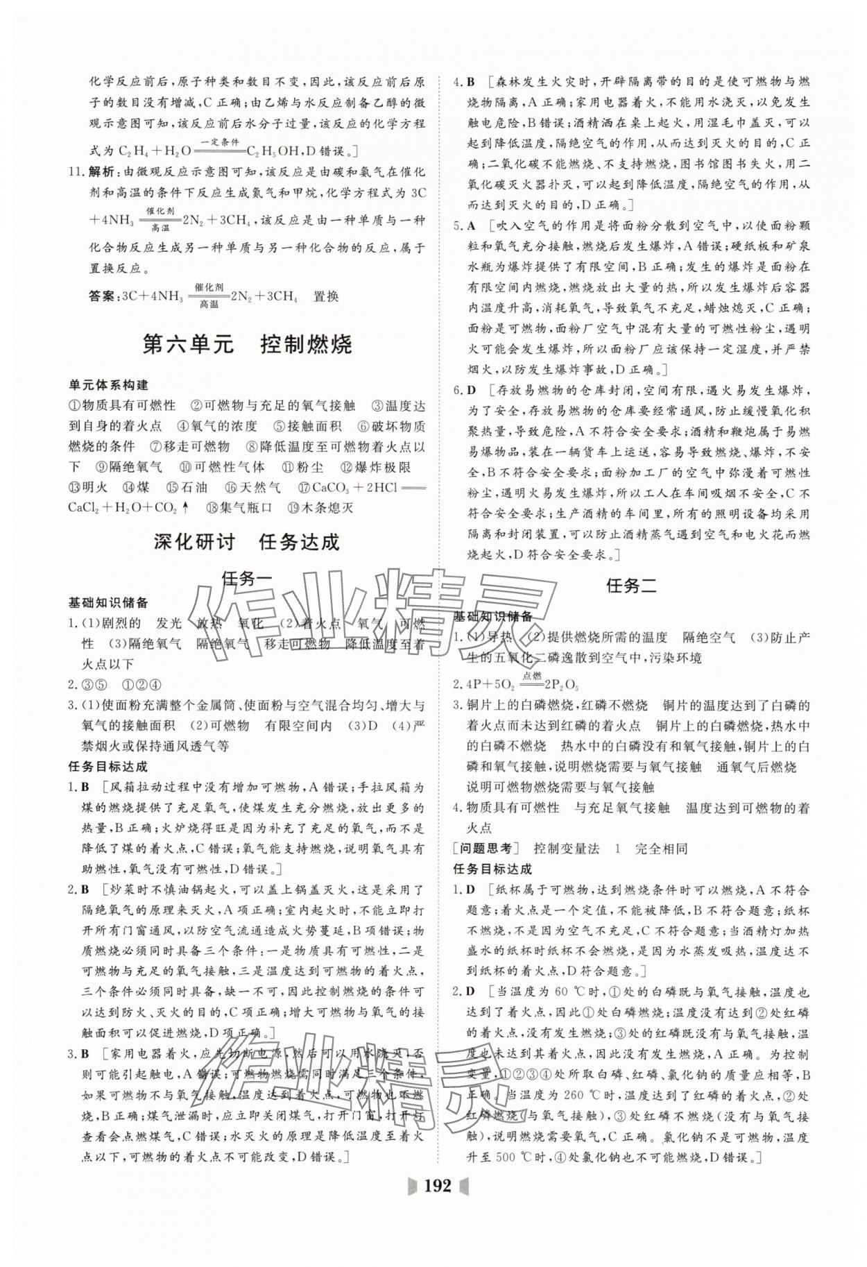2025年初中總復習山東教育出版社化學魯教版 第20頁