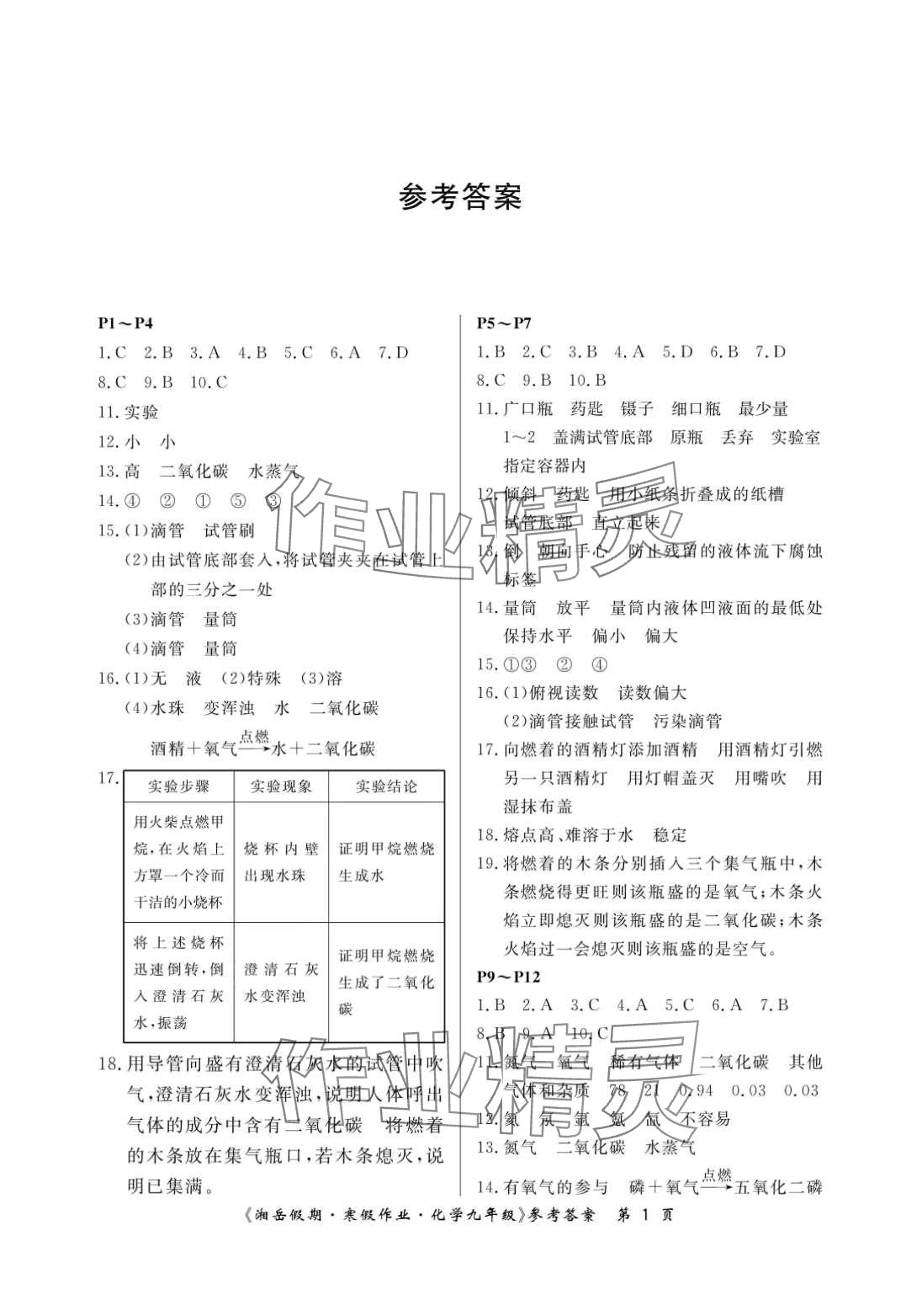 2024年湘岳假期寒假作業(yè)九年級(jí)化學(xué) 第1頁