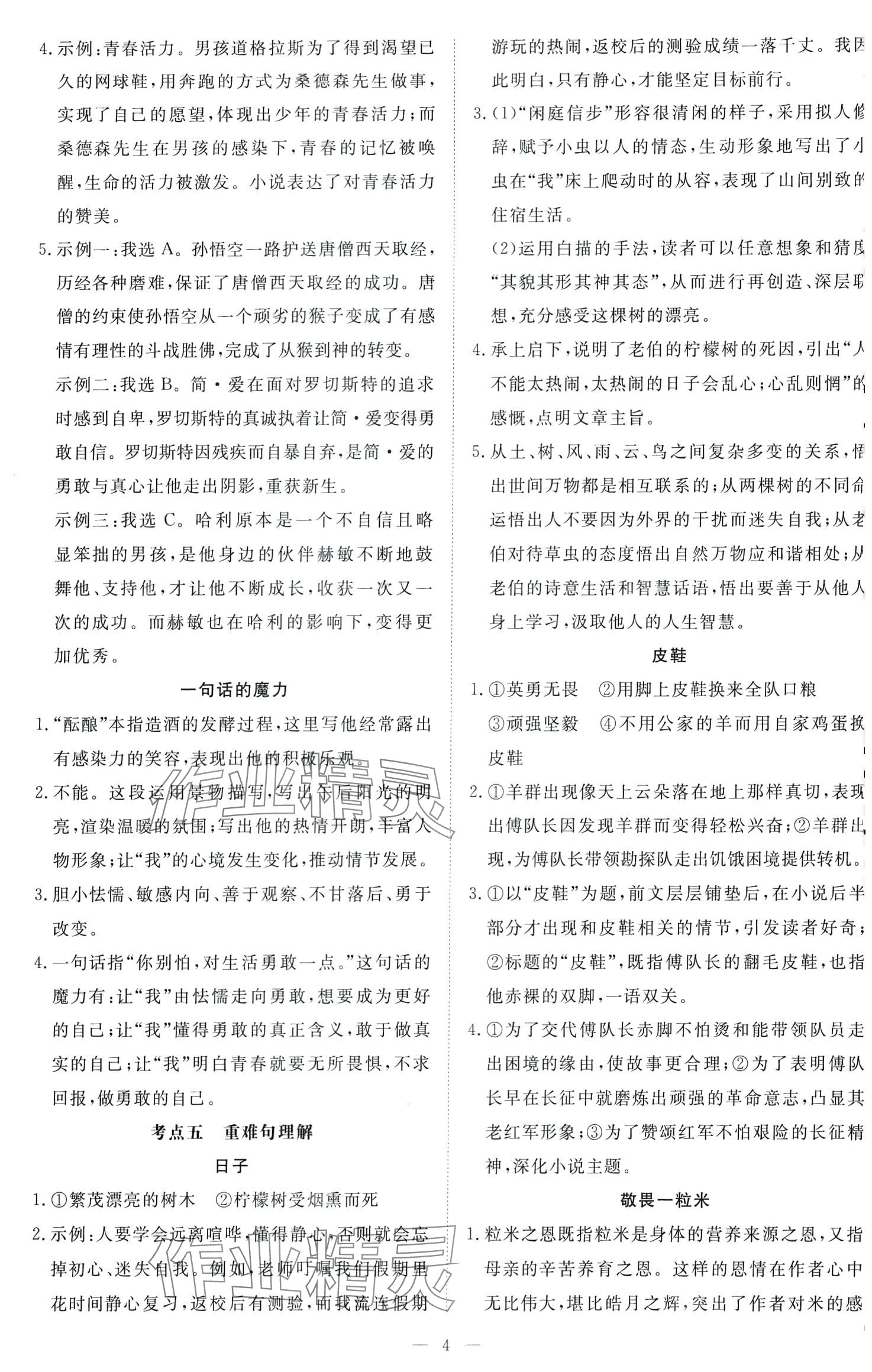 2024年初中现代文阅读与训练中考语文&nbsp;第4页