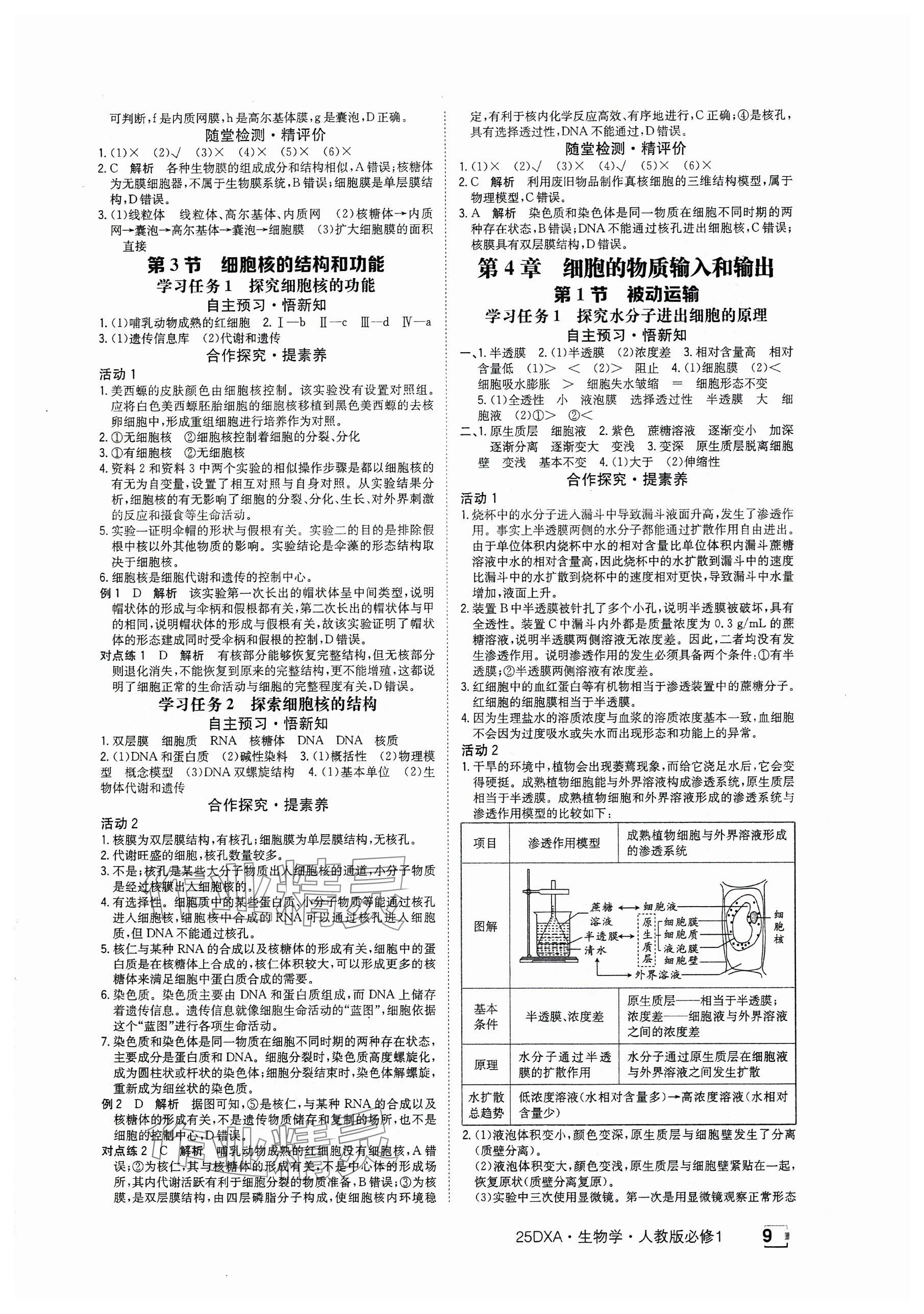 2024年金太陽導(dǎo)學(xué)案高中生物必修1人教版 參考答案第9頁