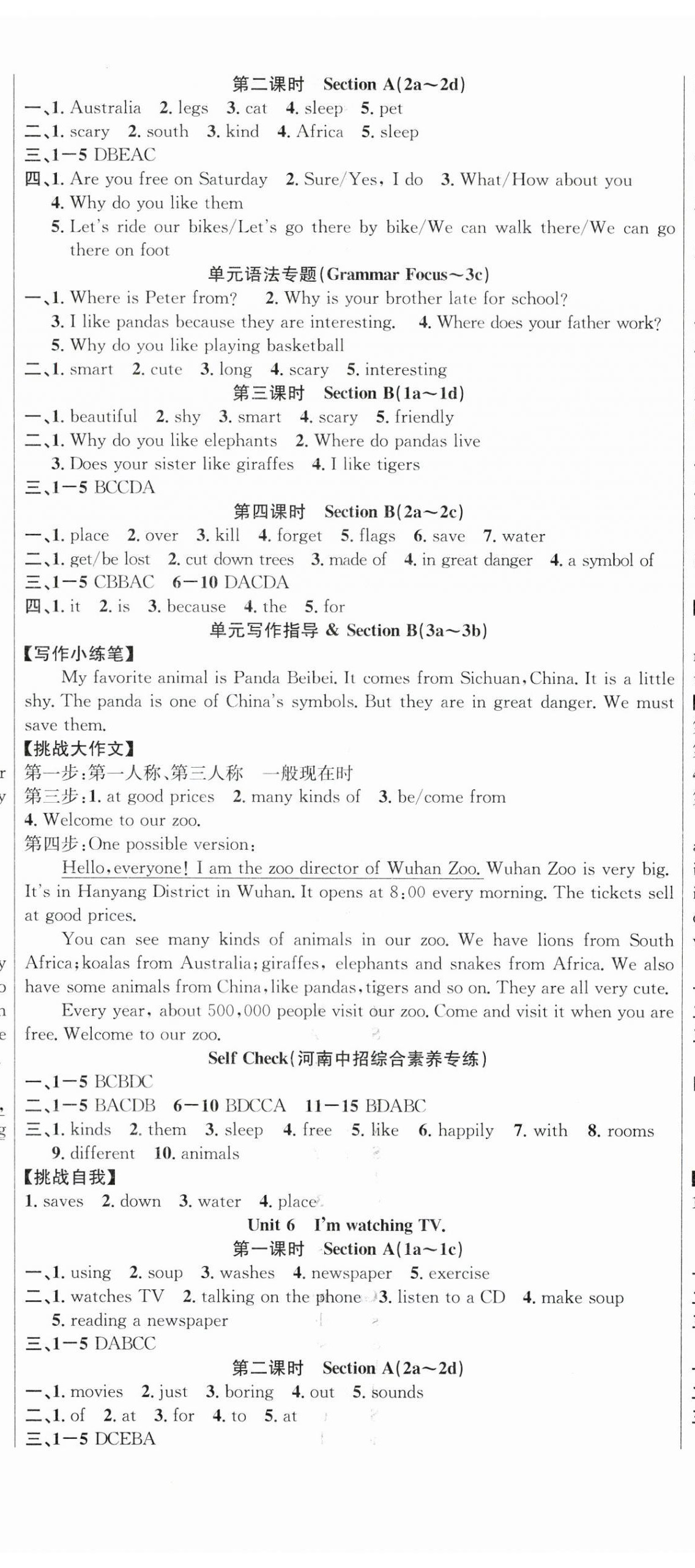 2024年课时夺冠七年级英语下册人教版河南专版 第5页