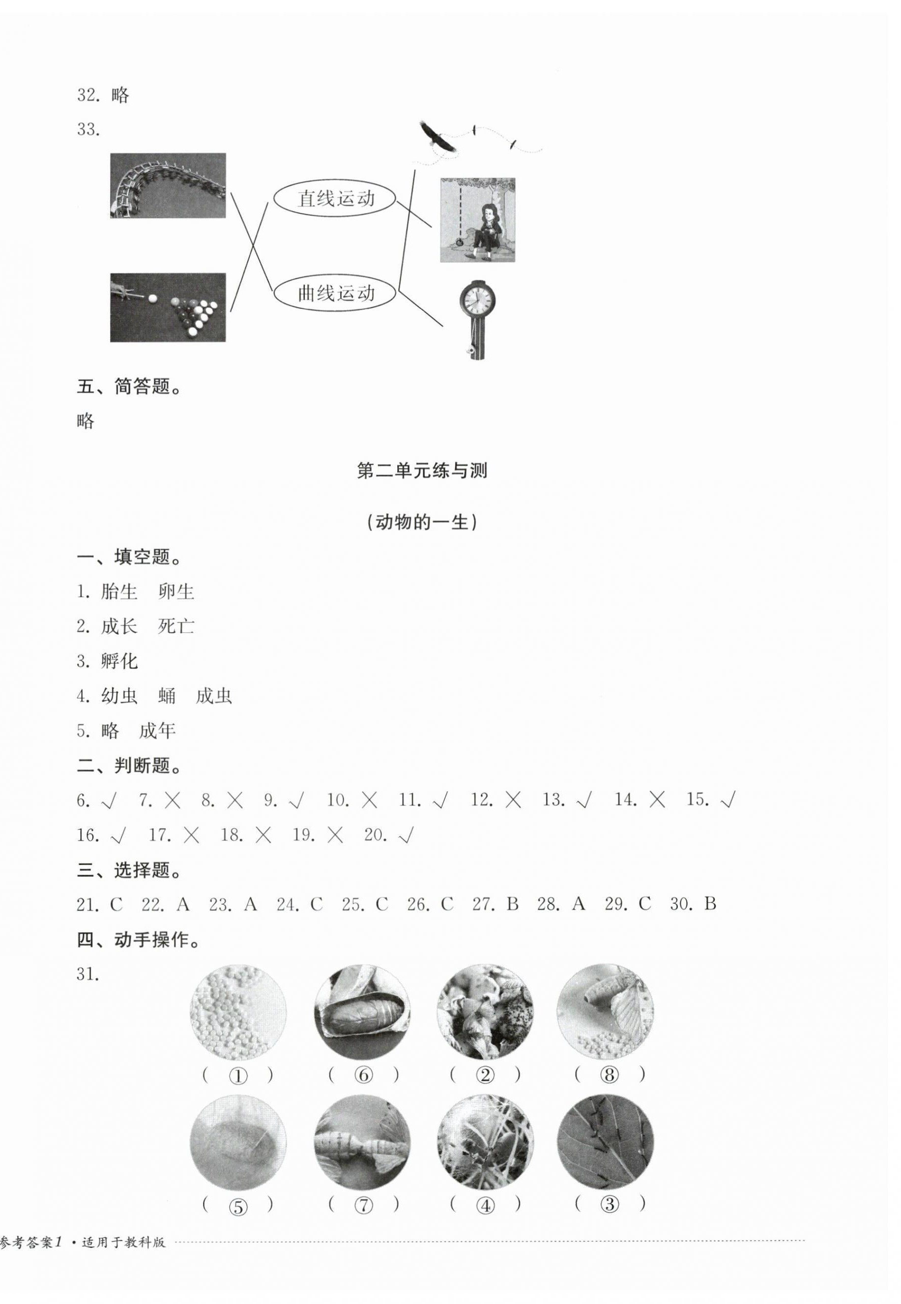 2025年同步练与测三年级科学下册教科版 第2页