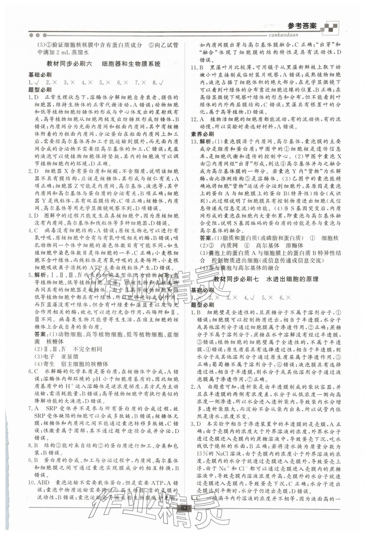 2026年智慧學(xué)習(xí)新疆文化出版社高一生物&nbsp;第5頁(yè)