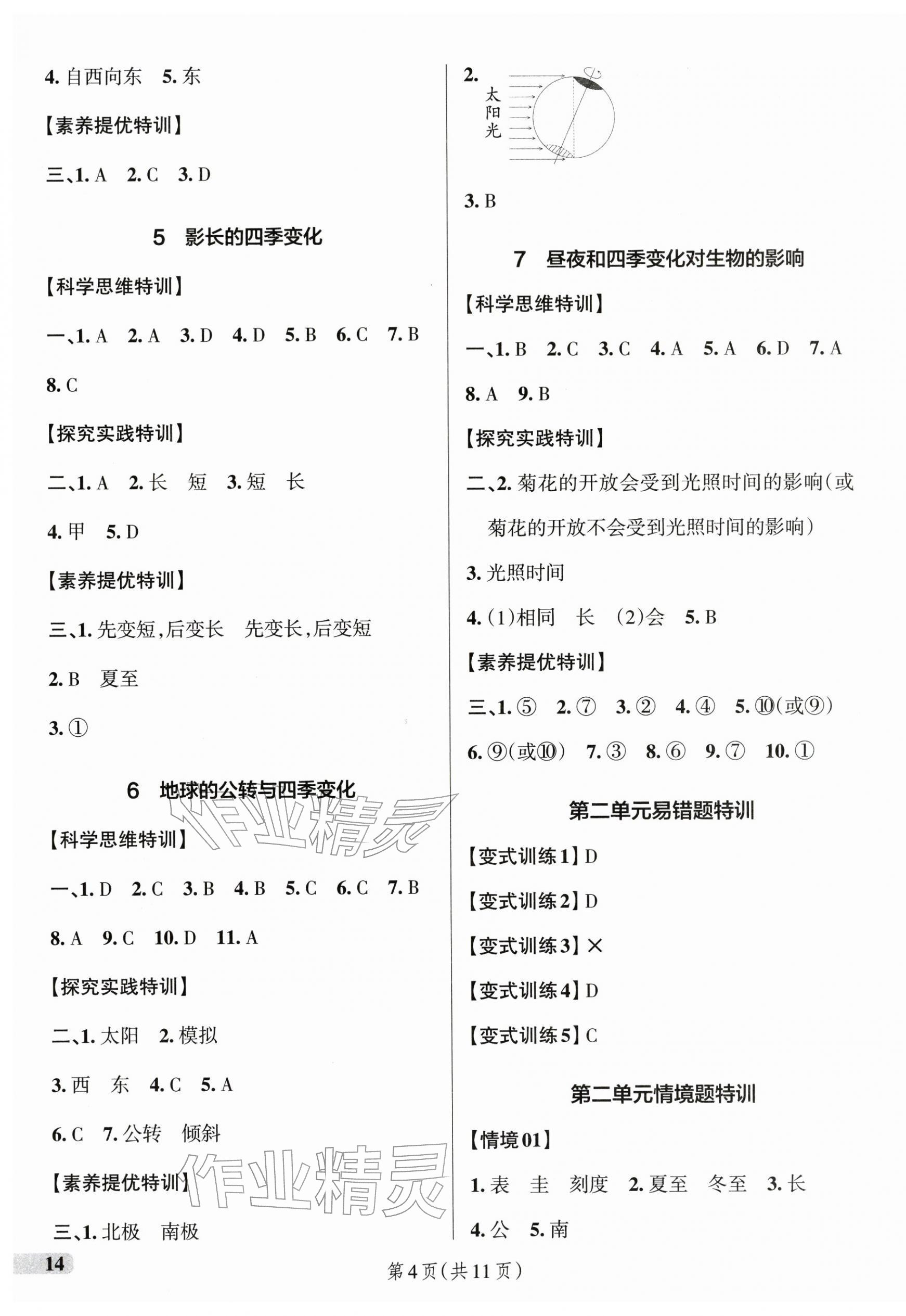 2025年綠卡提優(yōu)特訓(xùn)六年級科學(xué)上冊教科版江蘇專版&nbsp;參考答案第4頁