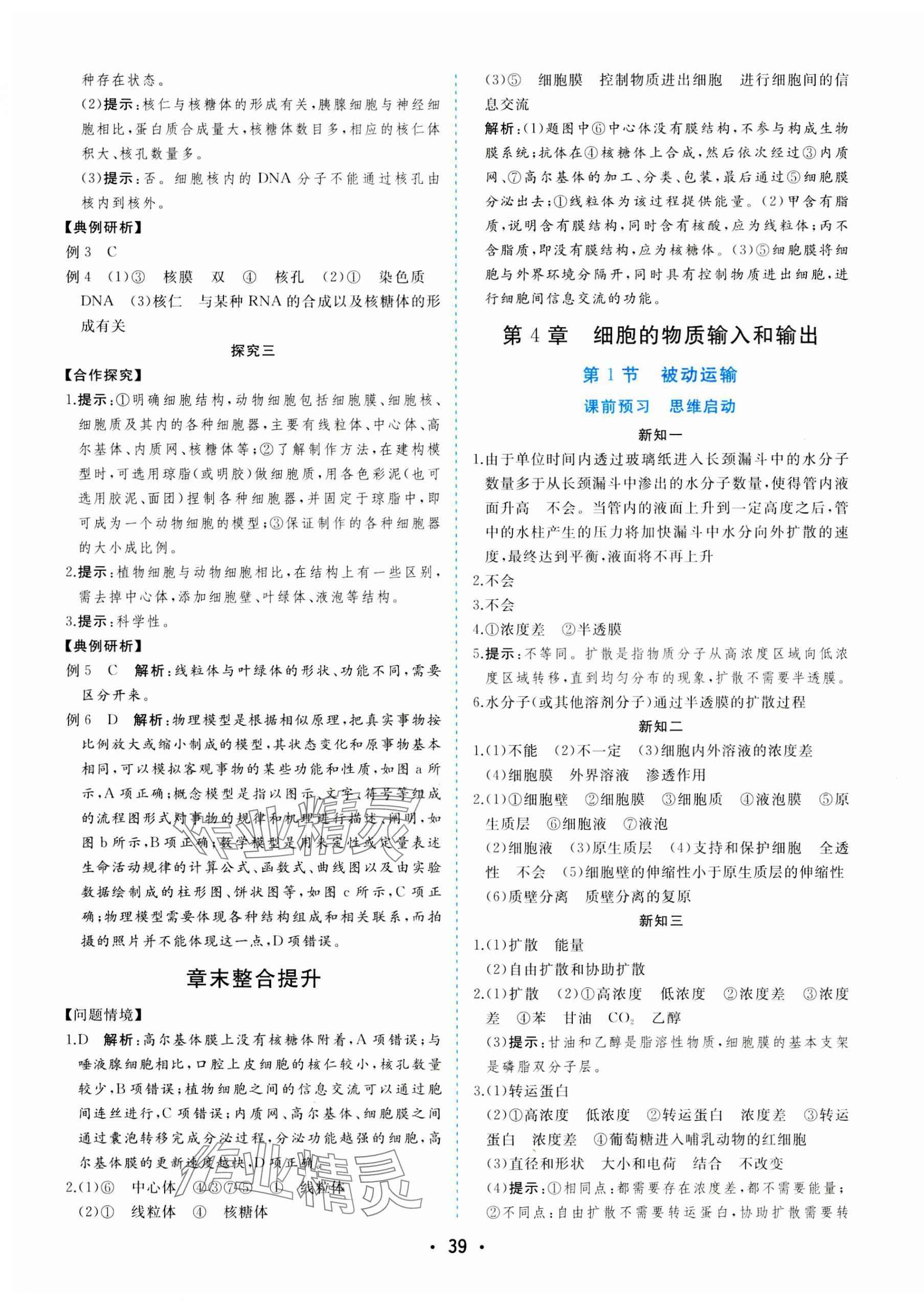 2023年金版学案高中同步辅导与检测高中生物必修1人教版 第11页