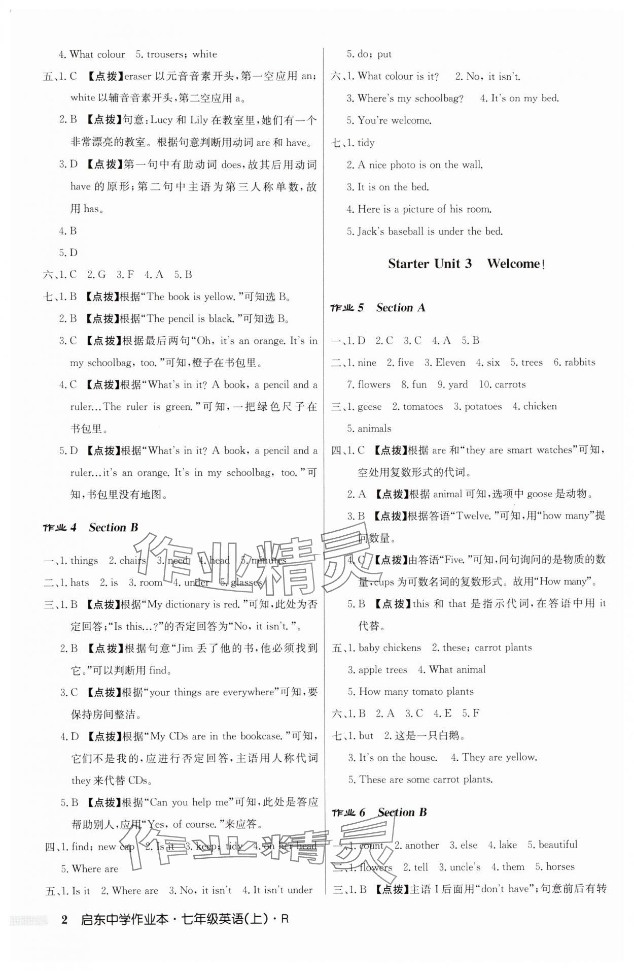 2025年启东中学作业本七年级英语上册人教版 第2页