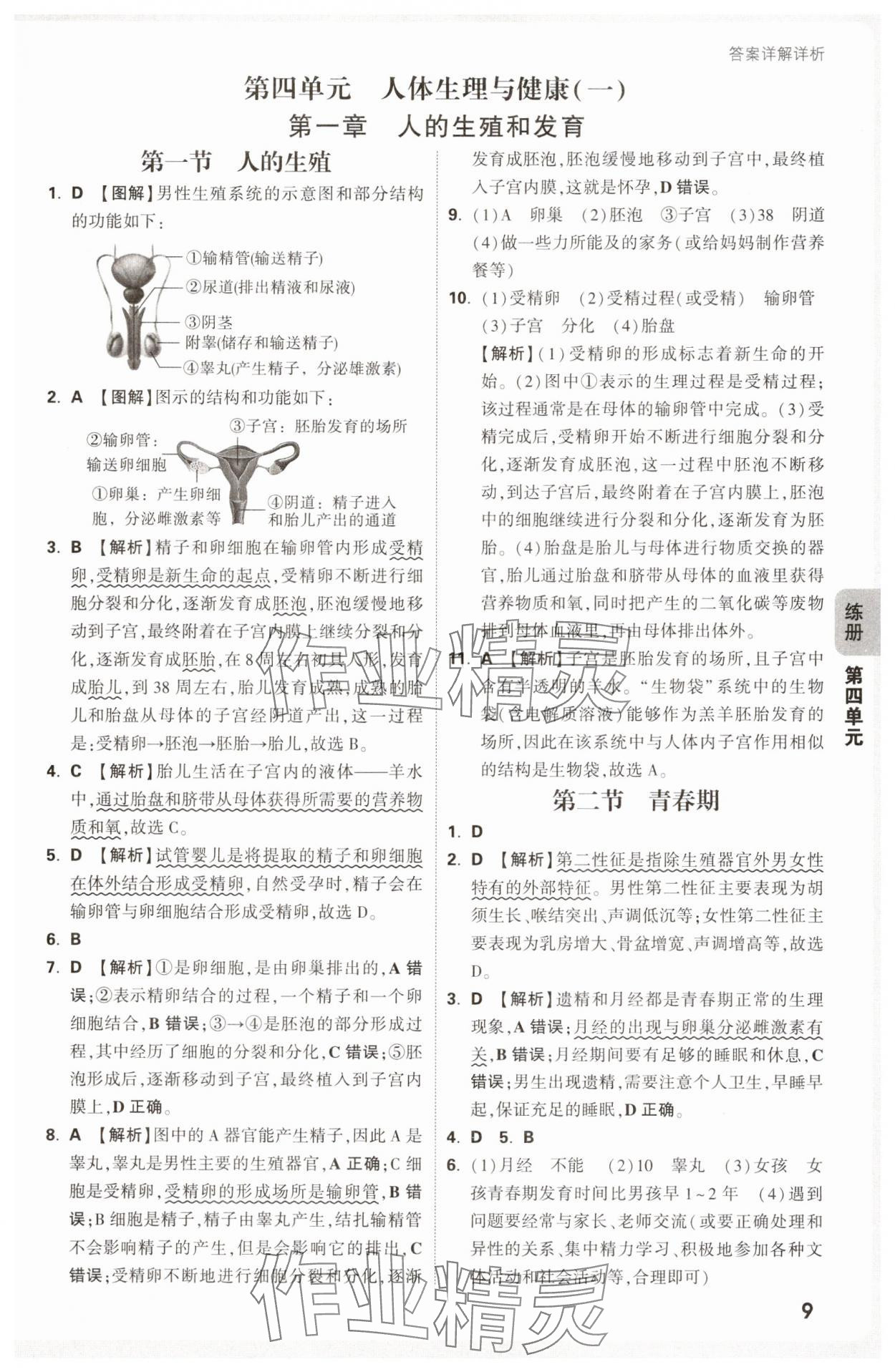 2025年萬唯中考情境題七年級生物下冊人教版 第9頁