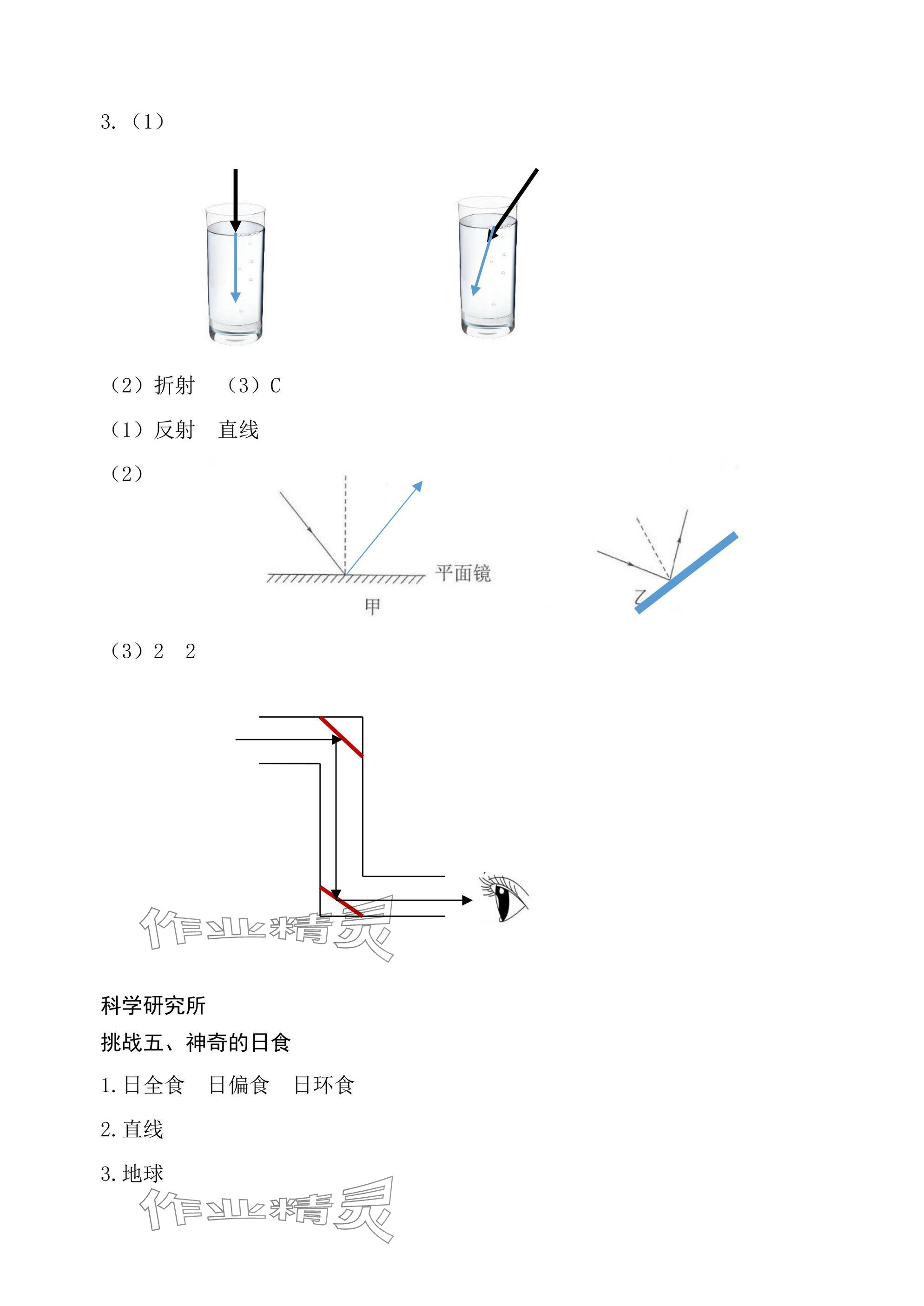 2024年綜合學(xué)習(xí)與評估五年級科學(xué)上冊教科版 參考答案第2頁