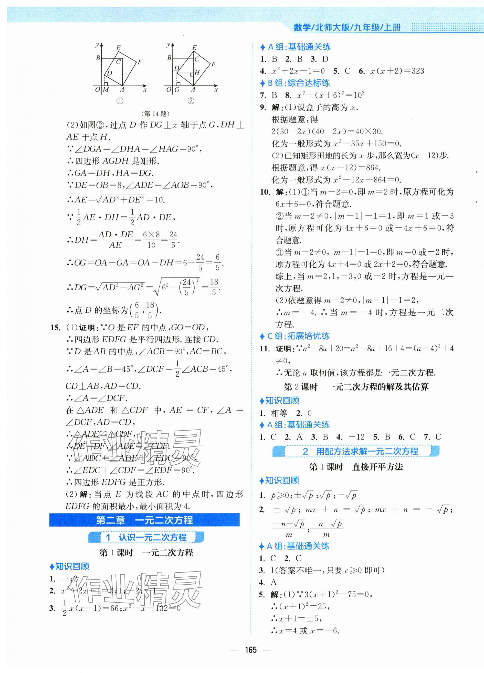 2025年新編基礎訓練九年級數(shù)學上冊北師大版 第9頁