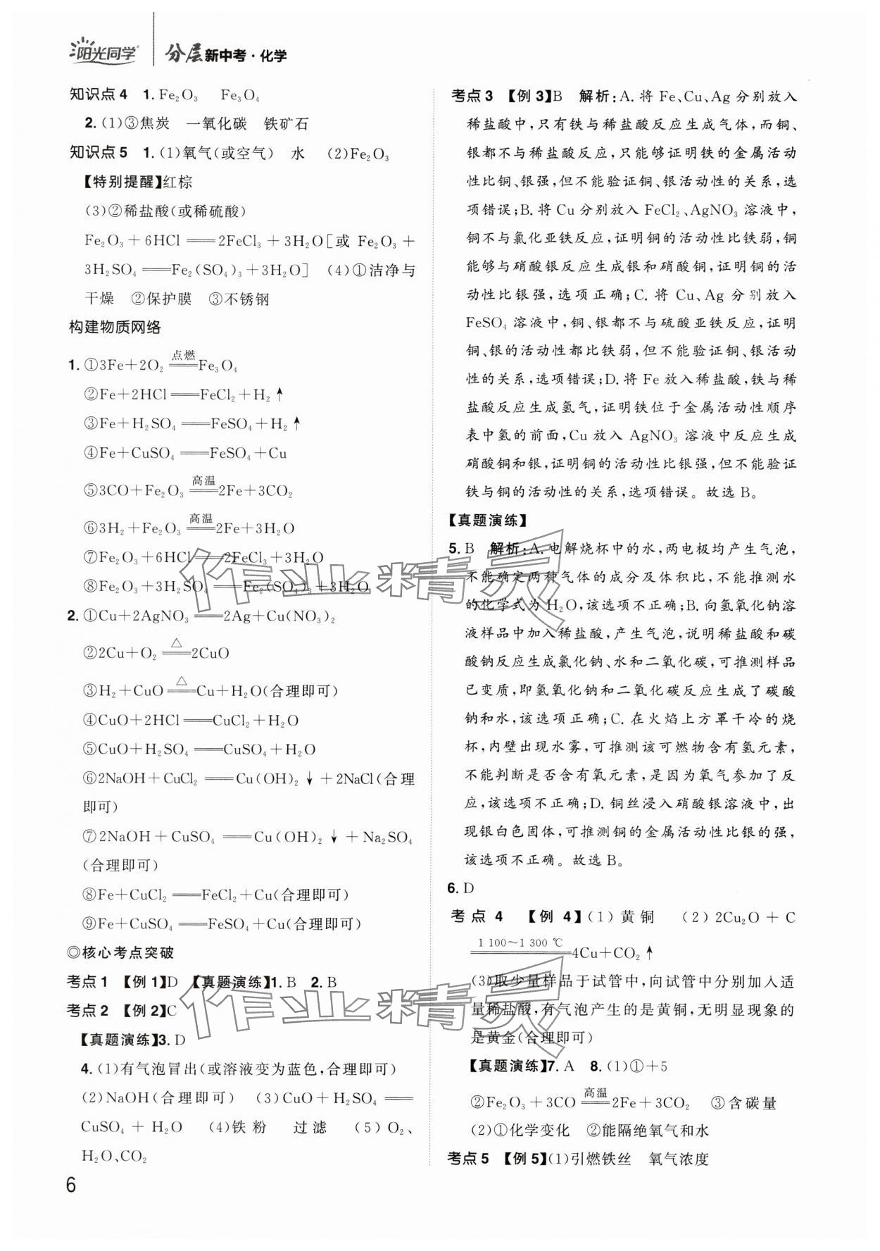 2024年陽(yáng)光同學(xué)分層新中考化學(xué)福建專(zhuān)版 參考答案第6頁(yè)