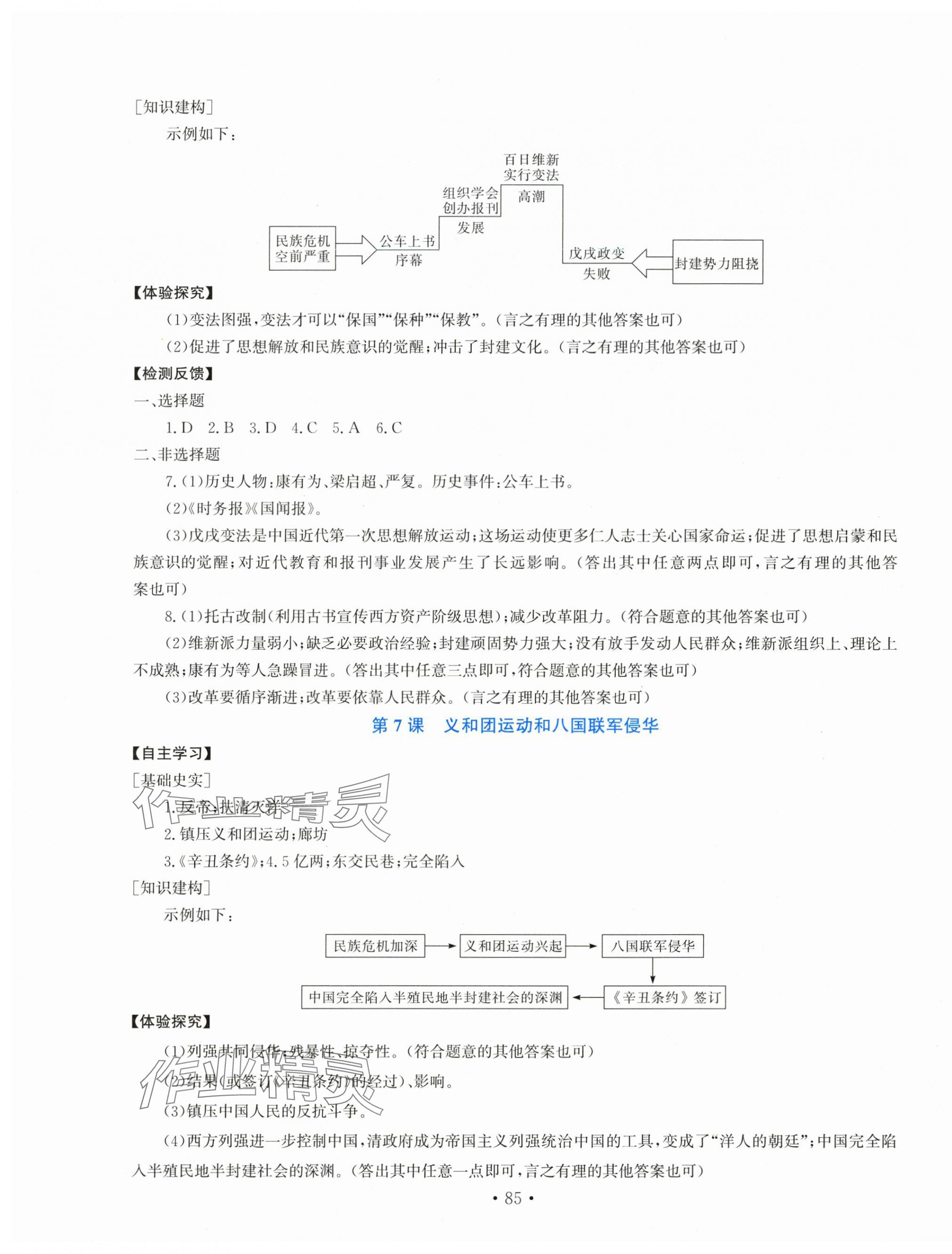 2025年新课程实践与探究丛书八年级历史上册人教版河南专版 第5页