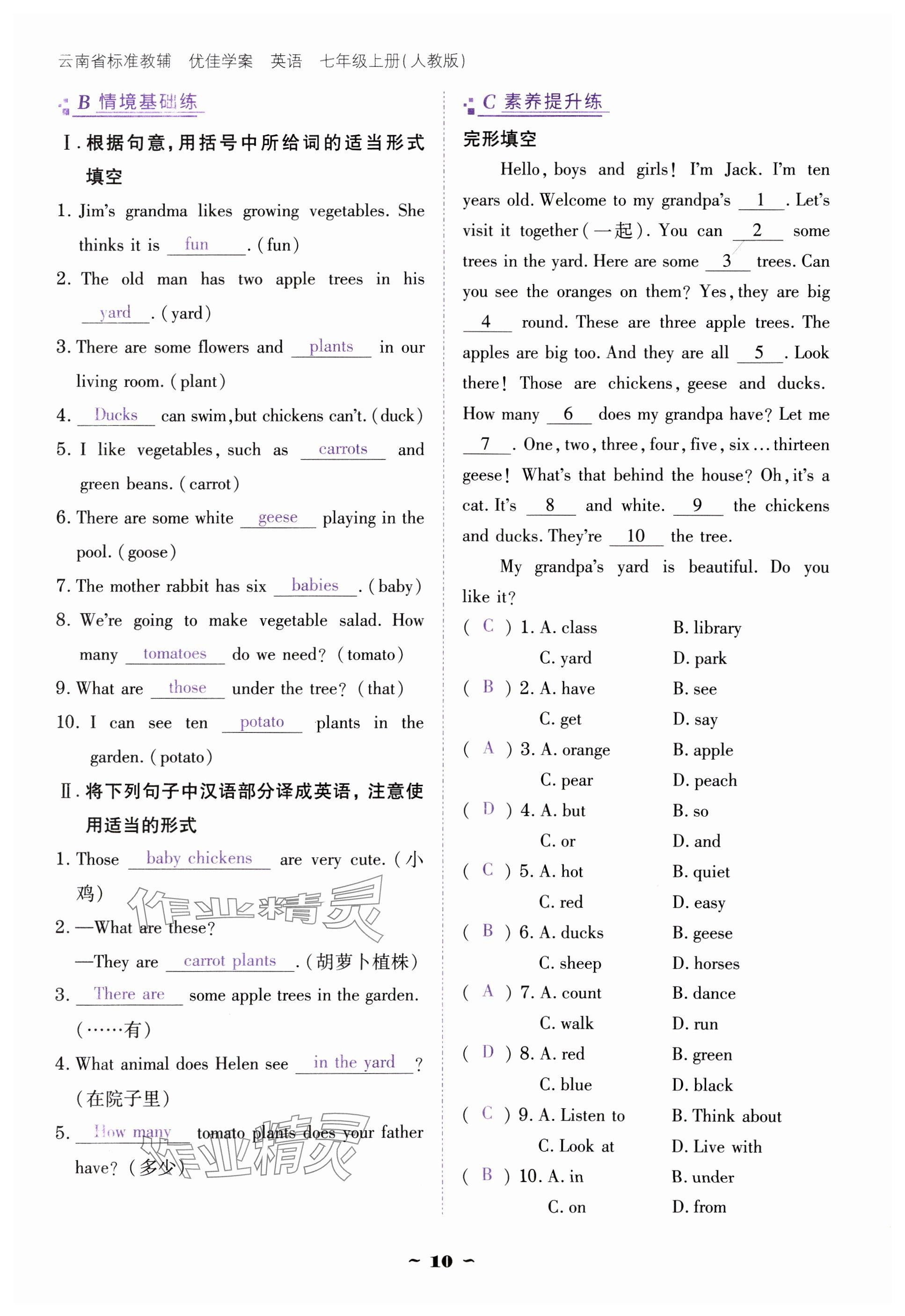 2024年云南省標(biāo)準(zhǔn)教輔優(yōu)佳學(xué)案七年級英語上冊人教版 參考答案第10頁