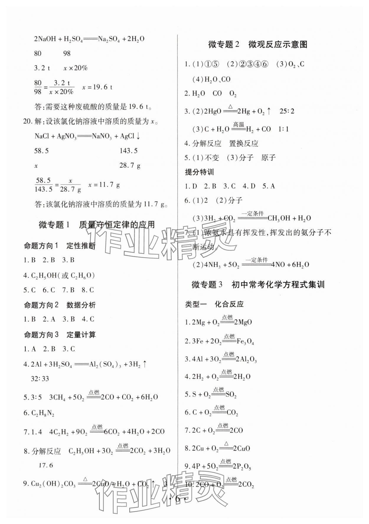 2025年理想中考化学中考河南专版 参考答案第6页