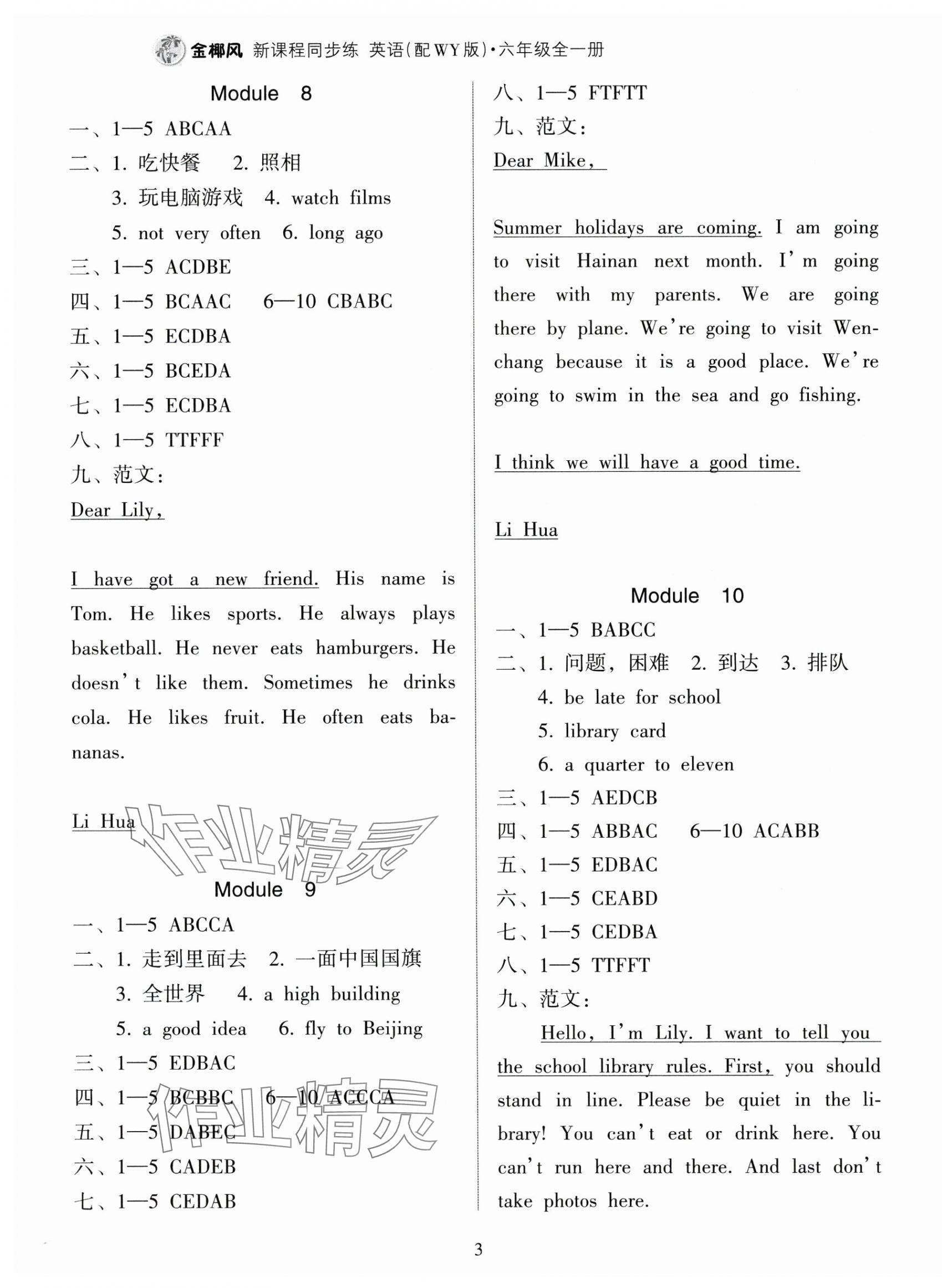 2024年金椰風(fēng)新課程同步練六年級英語全一冊外研版 第3頁