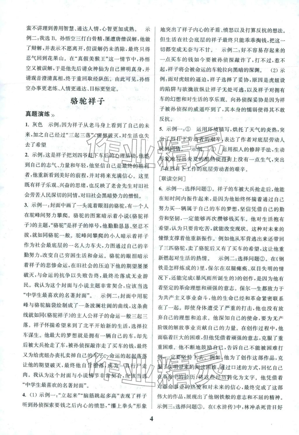 2026年初中名著三维导学中考人教版&nbsp;第4页