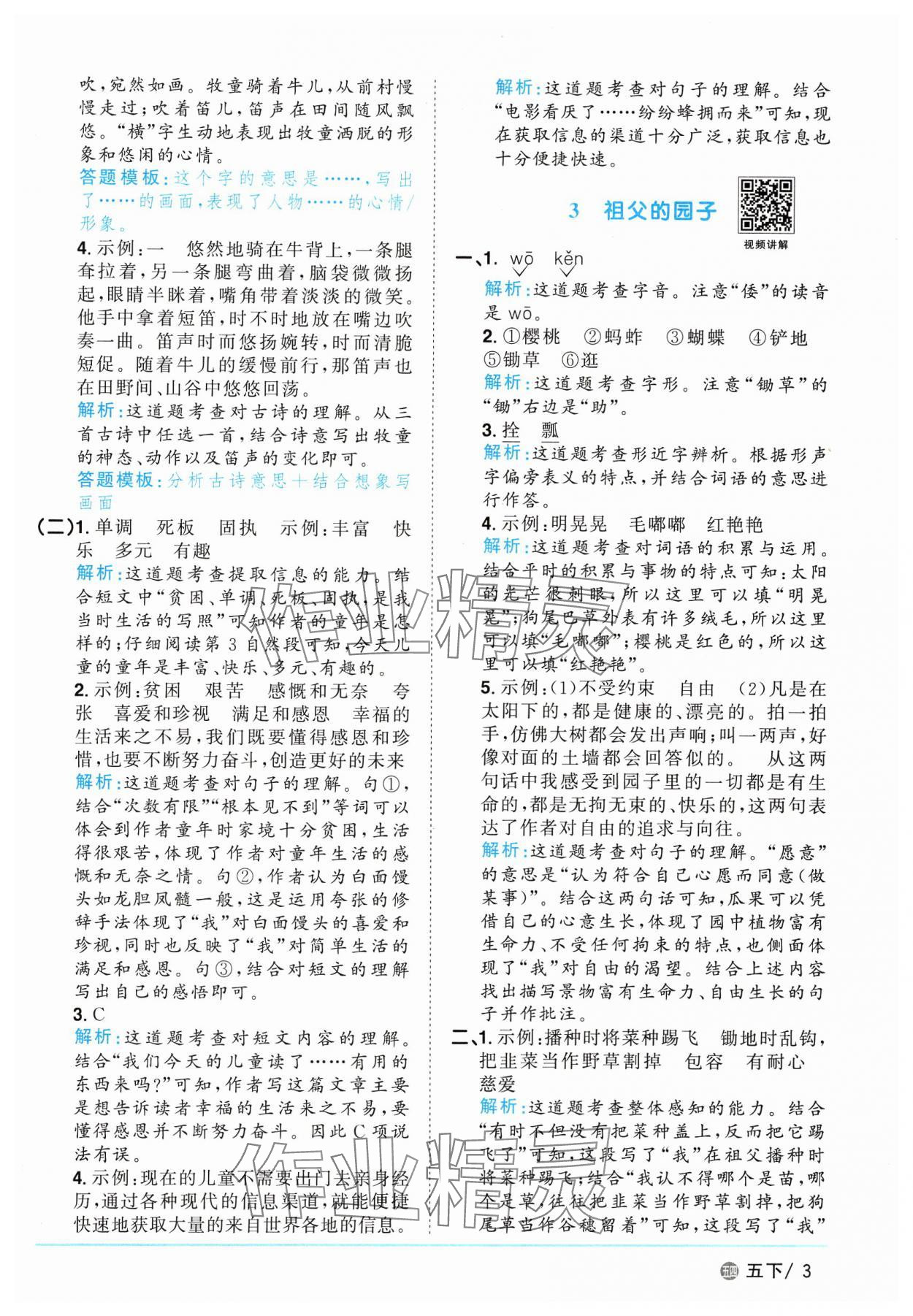 2025年阳光同学课时优化作业五年级语文下册人教版五四制 参考答案第3页