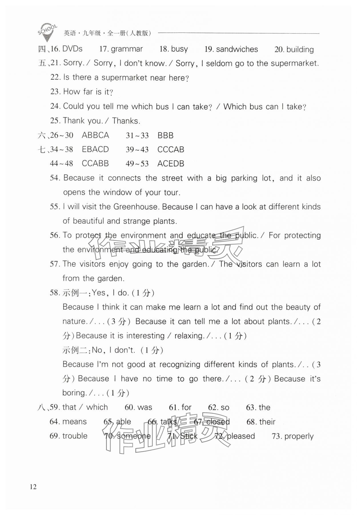 2025年新课程问题解决导学方案九年级英语全一册人教版 参考答案第12页