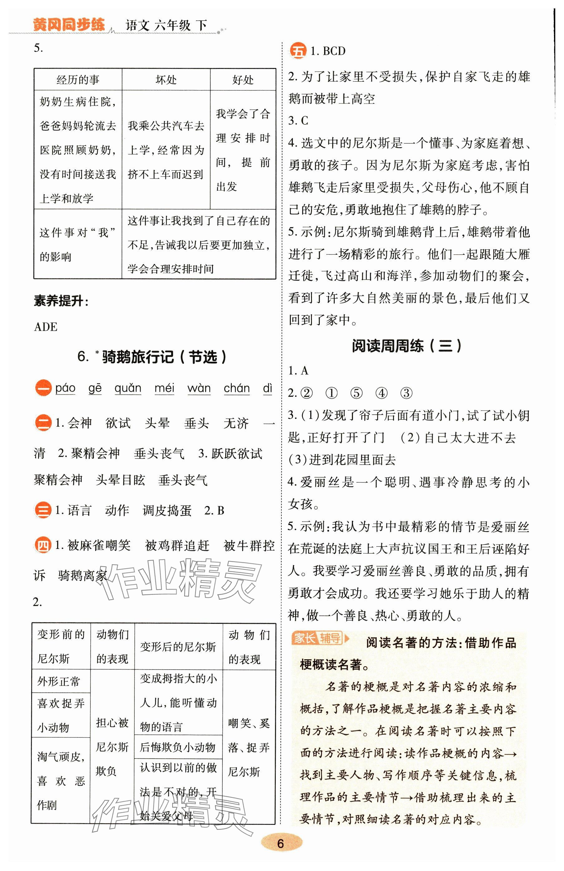 2025年黃岡同步練一日一練六年級語文下冊人教版 參考答案第6頁