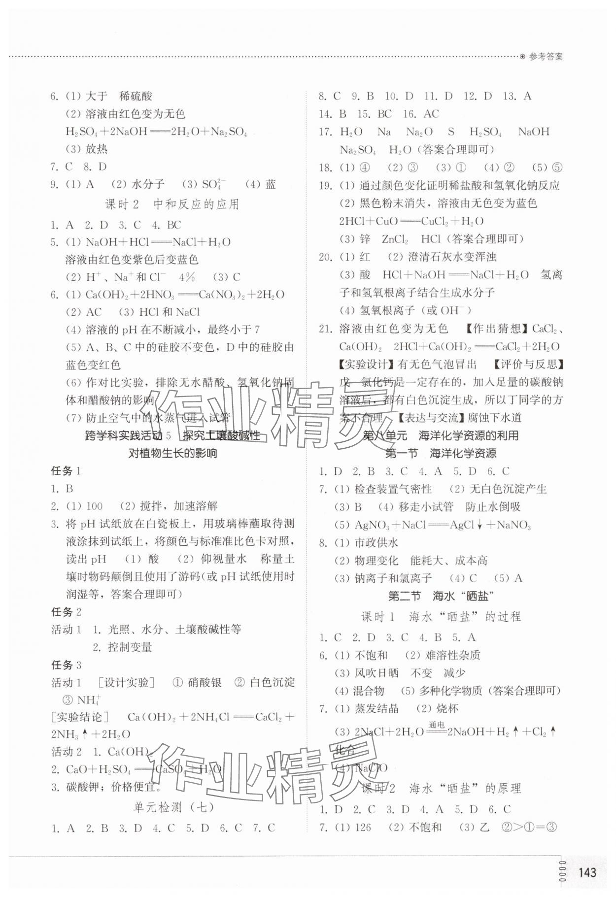 2025年同步練習冊山東教育出版社九年級化學下冊魯教版 參考答案第2頁