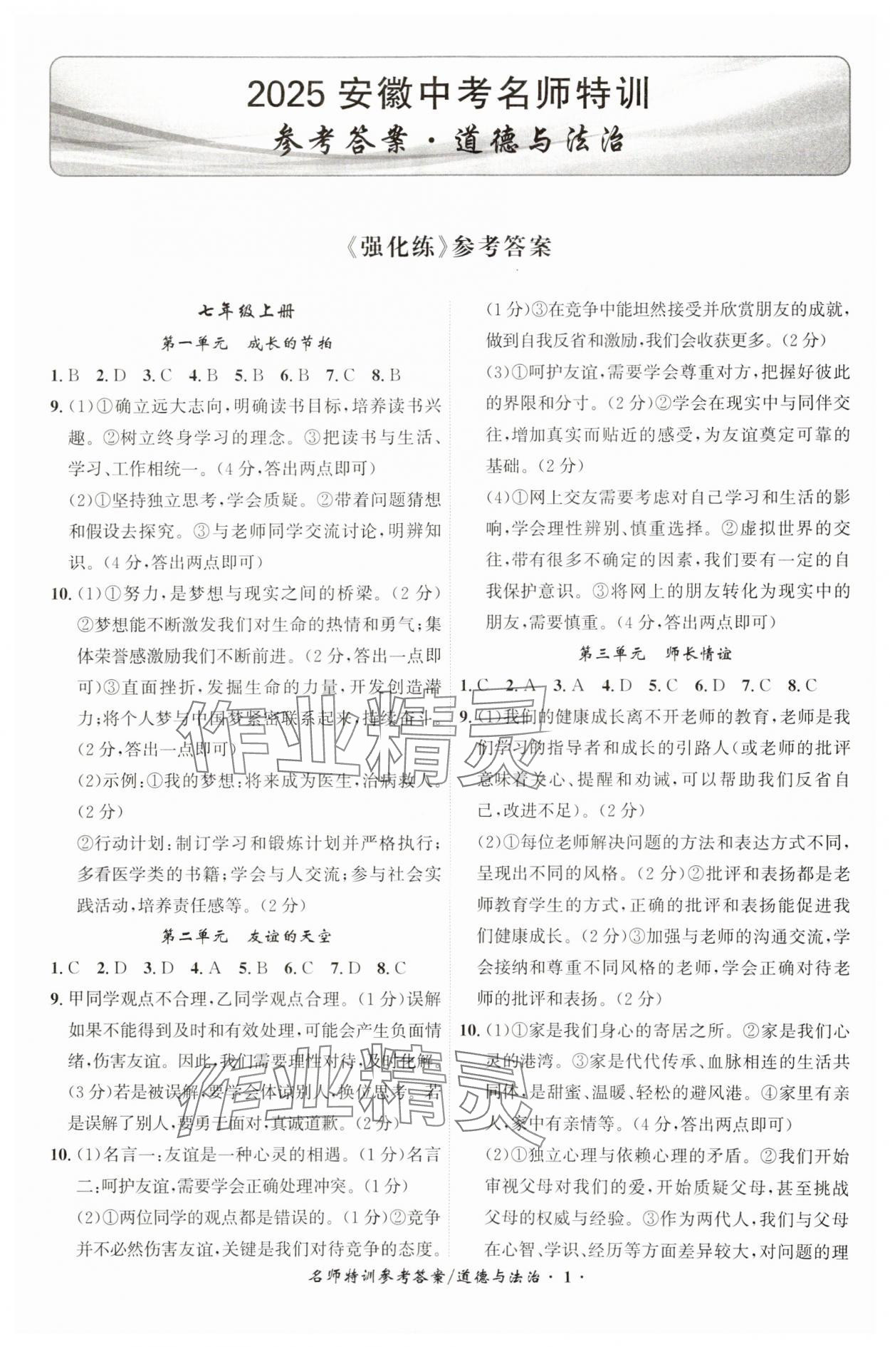 2025年名師特訓道德與法治安徽專版 第1頁