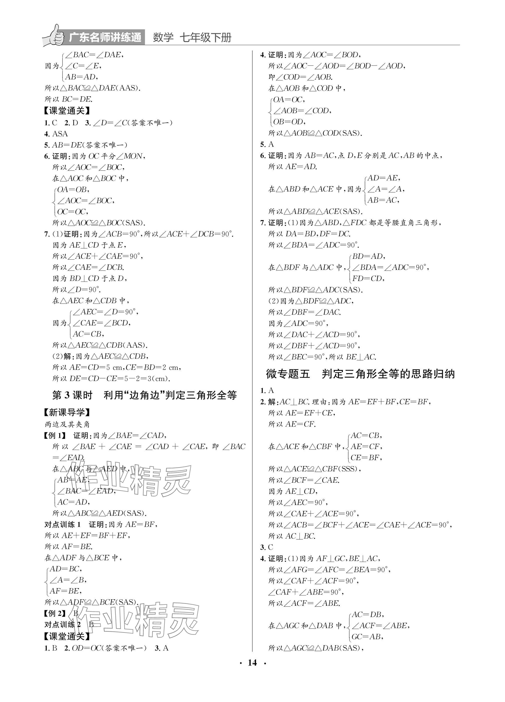 2025年廣東名師講練通七年級數學下冊北師大版深圳專版 參考答案第14頁