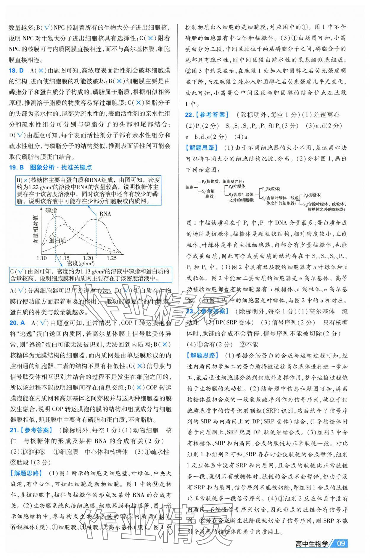 2025年金考卷名師名題單元雙測卷高中生物必修1人教版 第9頁