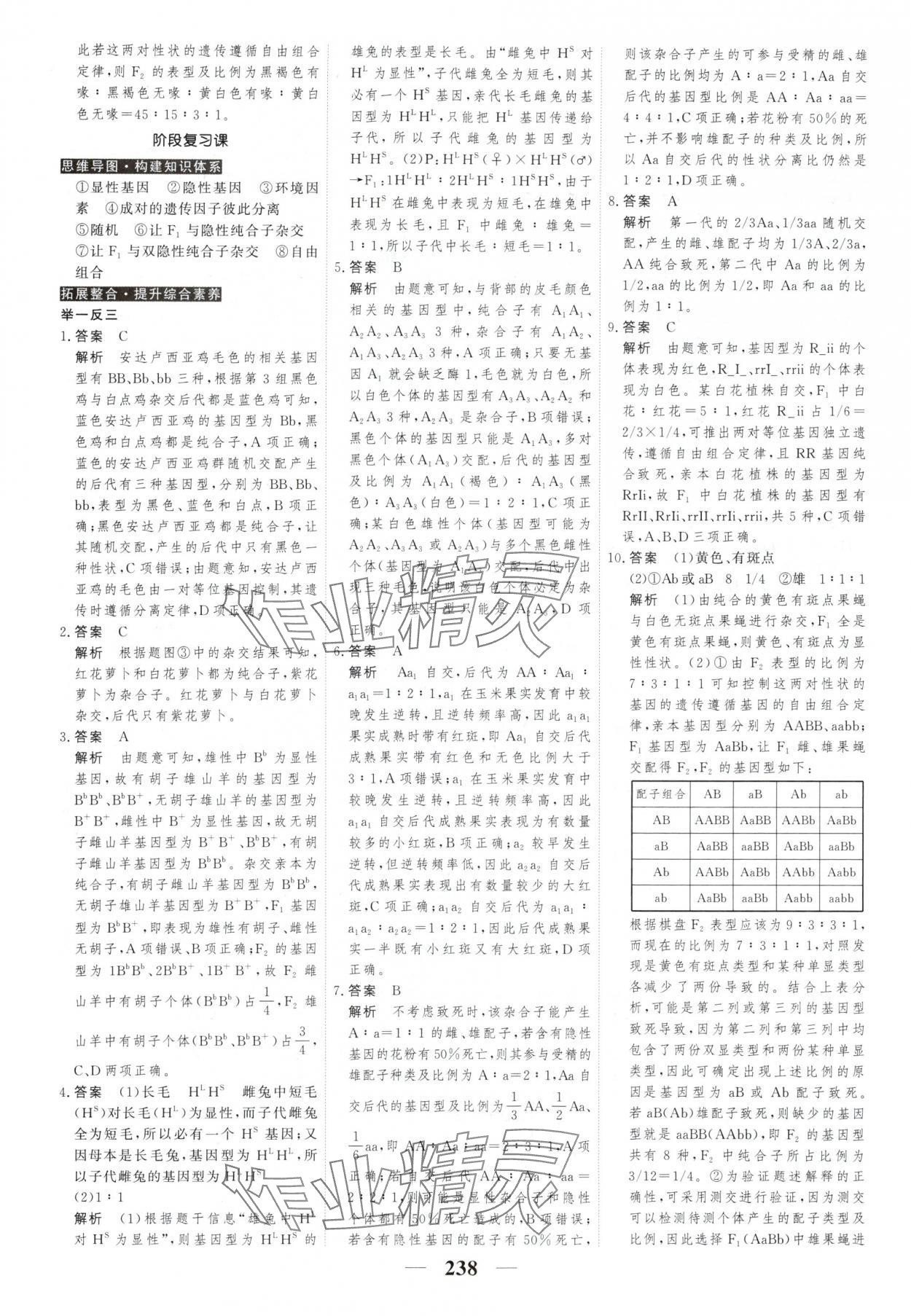 2025年新教材同步學案高考調研生物必修2人教版 第8頁