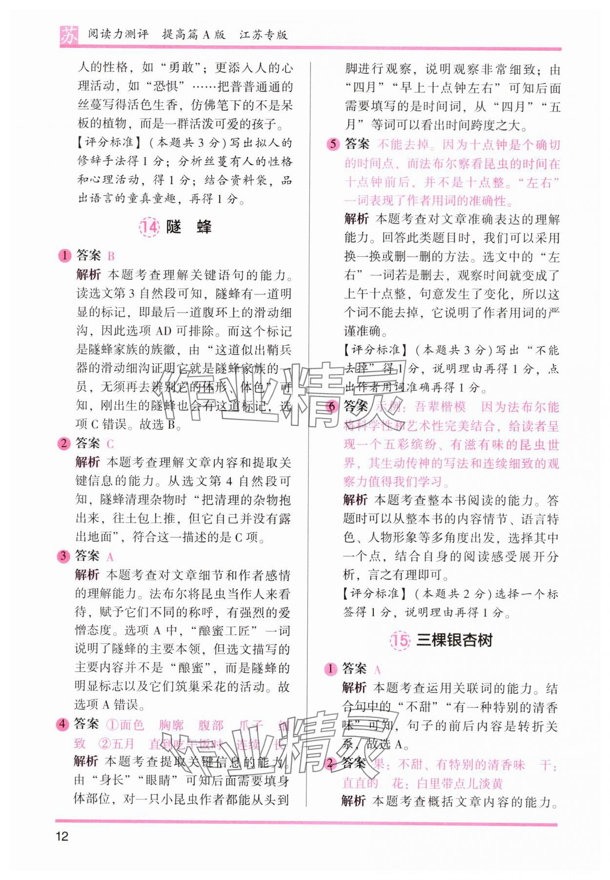 2024年木頭馬閱讀力測評四年級語文上冊人教版江蘇專版 第12頁
