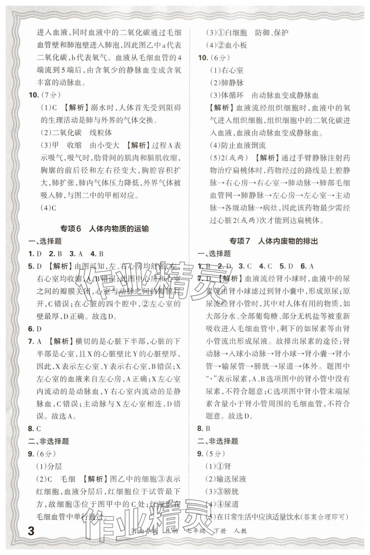 2025年王朝霞各地期末試卷精選七年級(jí)生物下冊(cè)人教版河南專版 參考答案第3頁(yè)