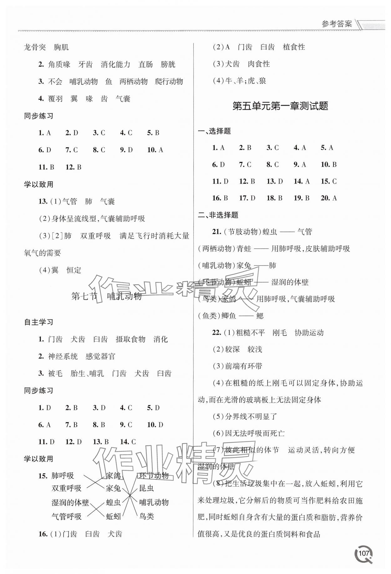 2024年同步練習冊青島出版社八年級生物上冊人教版 第3頁