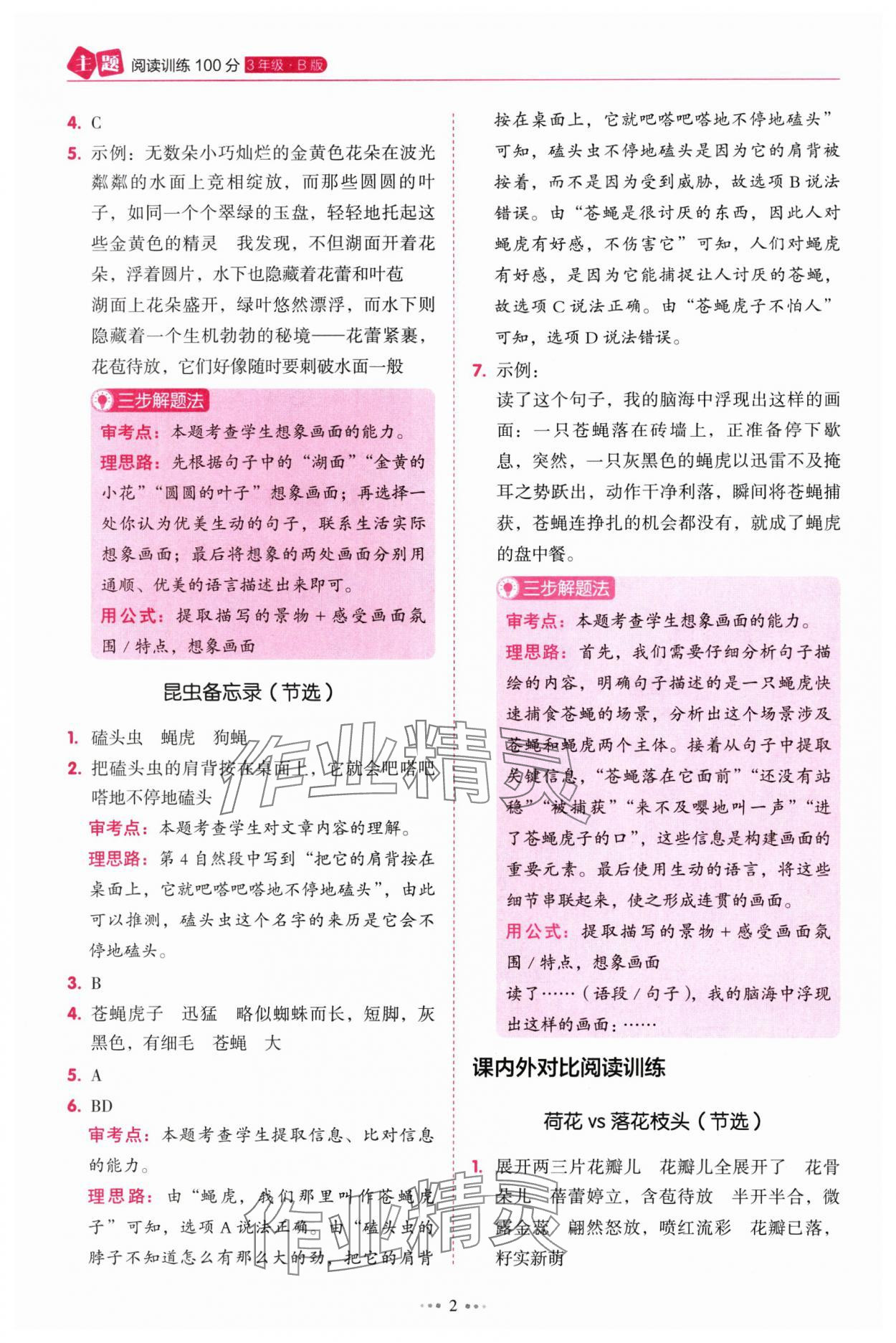 2025年畅阅读主题阅读训练100分三年级B版浙江专版 参考答案第2页