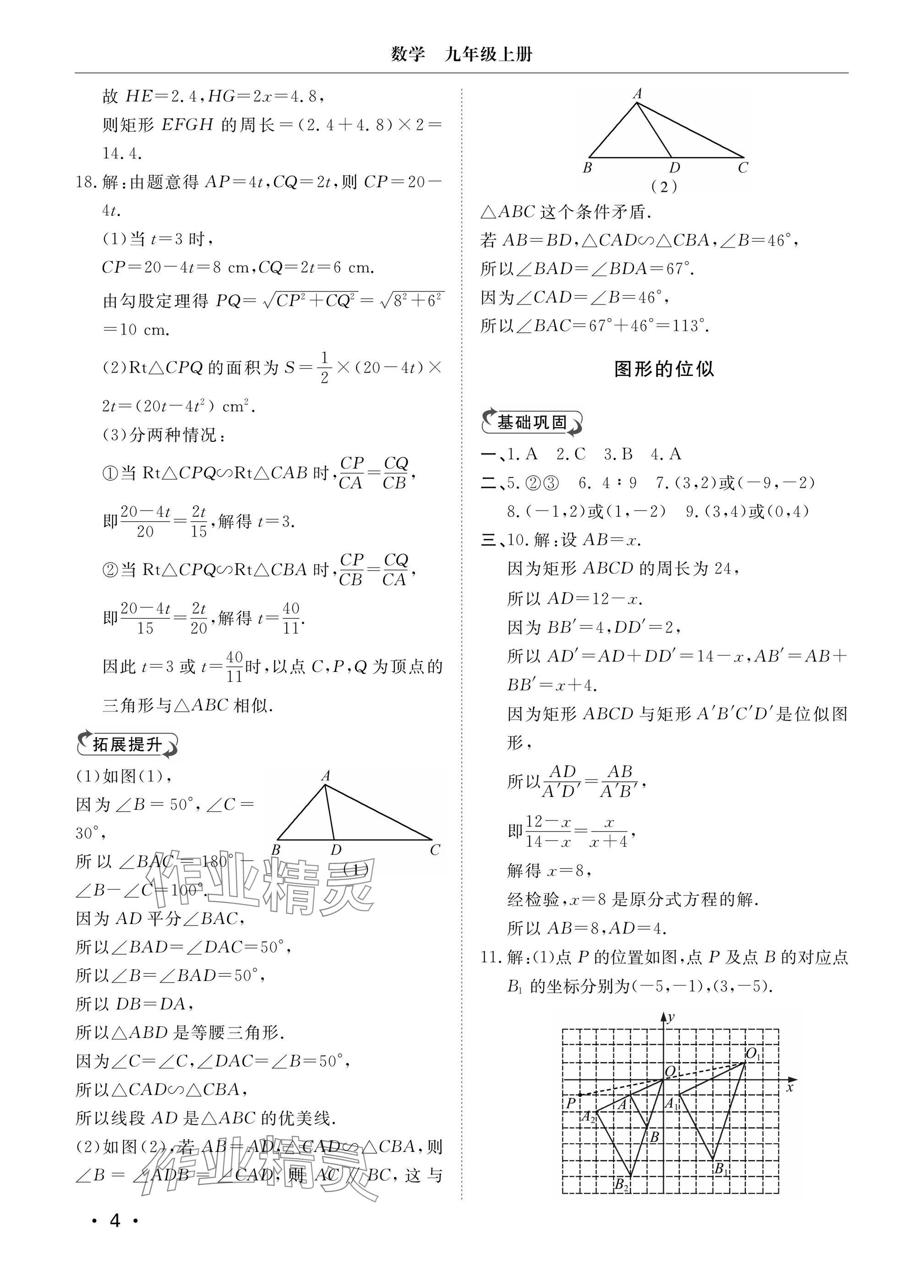 2024年行知天下九年級數(shù)學(xué)上冊青島版 參考答案第4頁