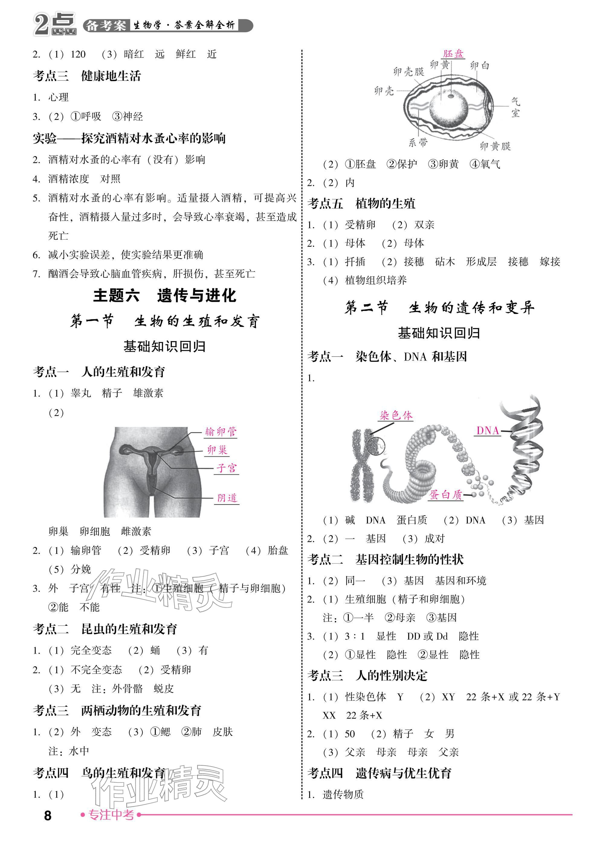 2026年2点备考案生物中考&nbsp;参考答案第8页