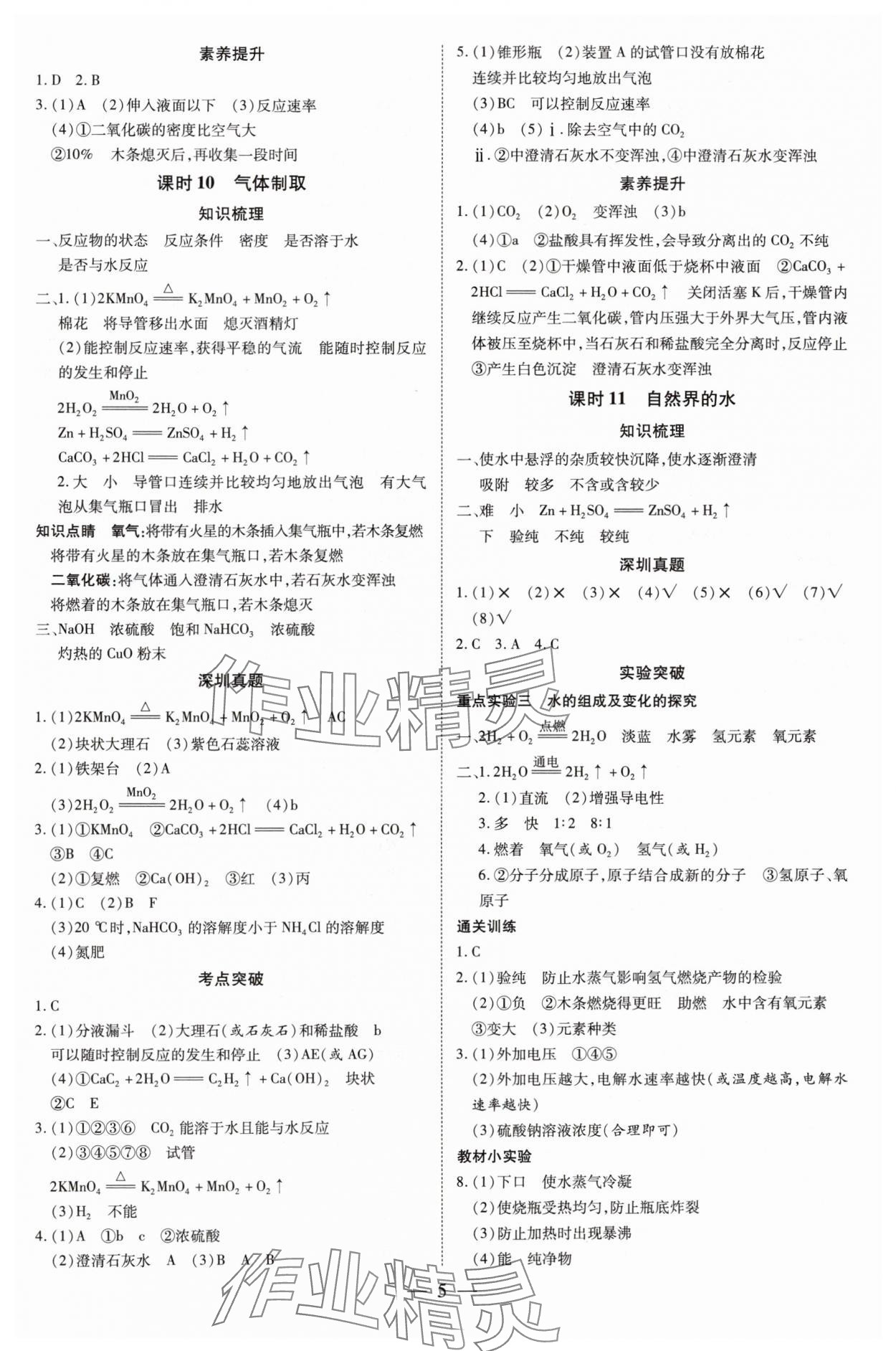 2025年领跑中考化学深圳专版 第5页