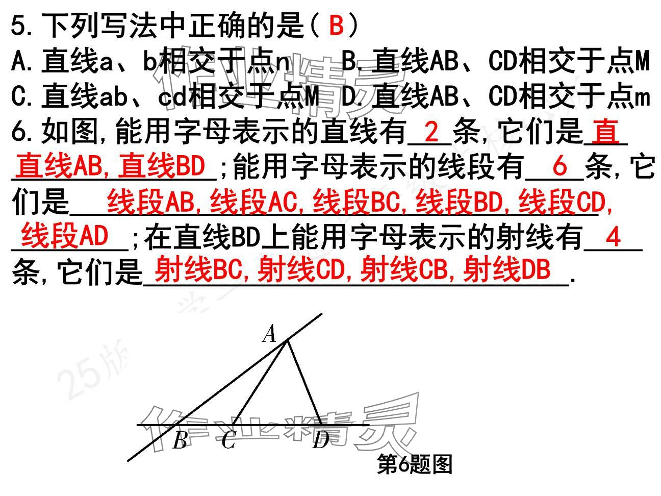 2024年一本通武漢出版社七年級(jí)數(shù)學(xué)上冊北師大版核心板 參考答案第5頁