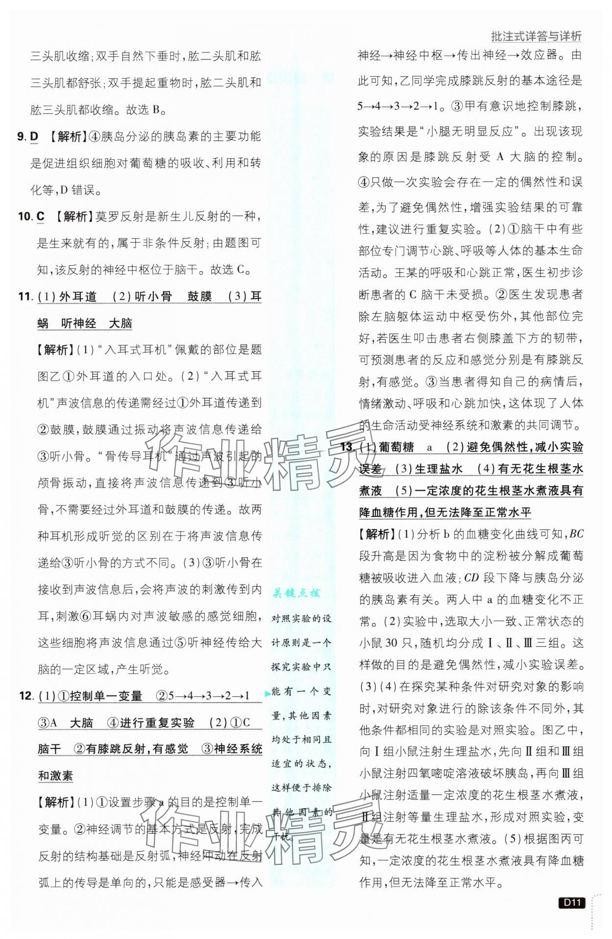 2025年初中必刷題八年級生物上冊人教版 第11頁