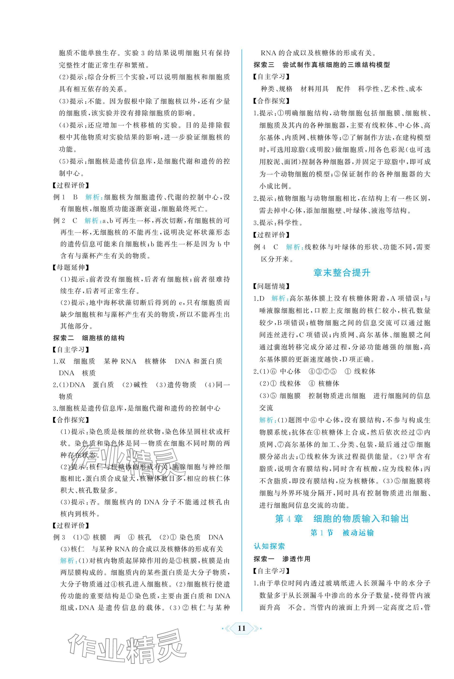 2024年同步解析與測評課時(shí)練人民教育出版社高中生物必修1人教版增強(qiáng)版 參考答案第11頁