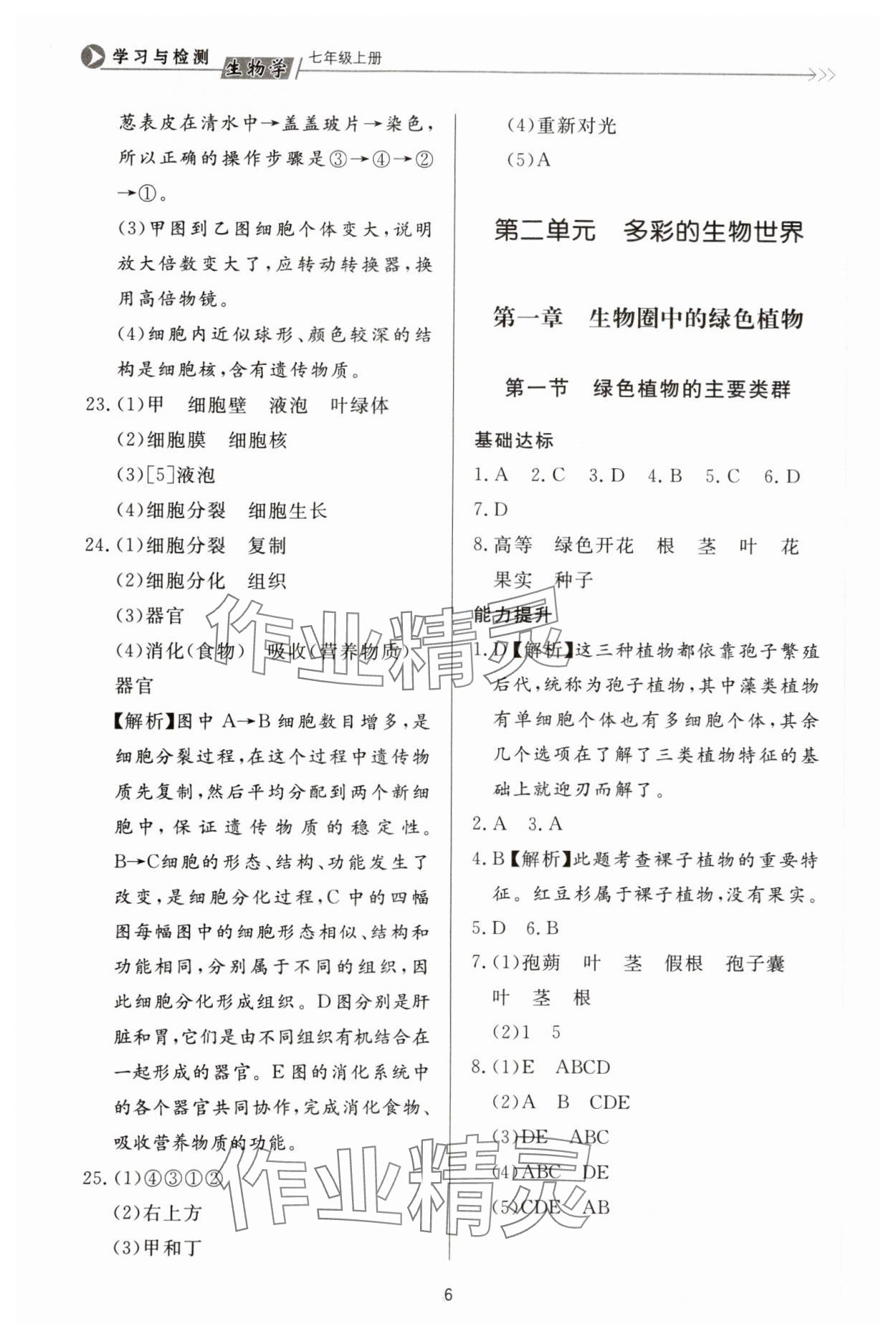 2023年学习与检测七年级生物上册济南版济南出版社 第6页