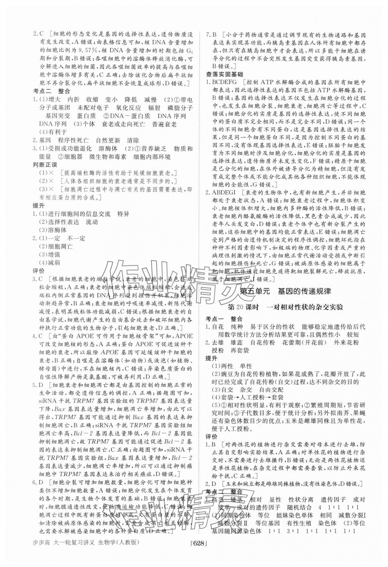 2025年步步高大一輪復(fù)習(xí)講義高中生物 第20頁
