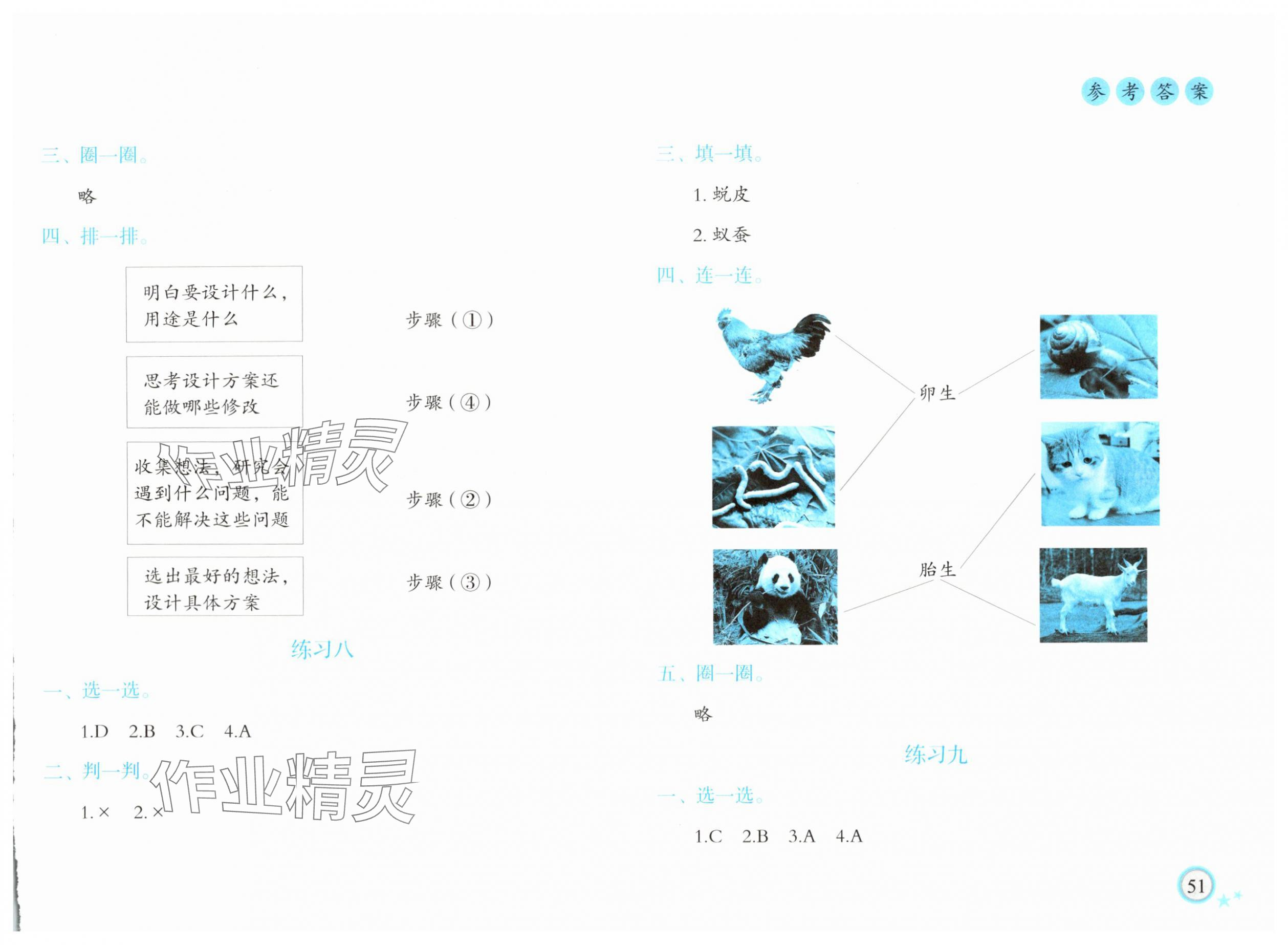 2025年暑假作业青岛出版社三年级科学教科版 参考答案第3页