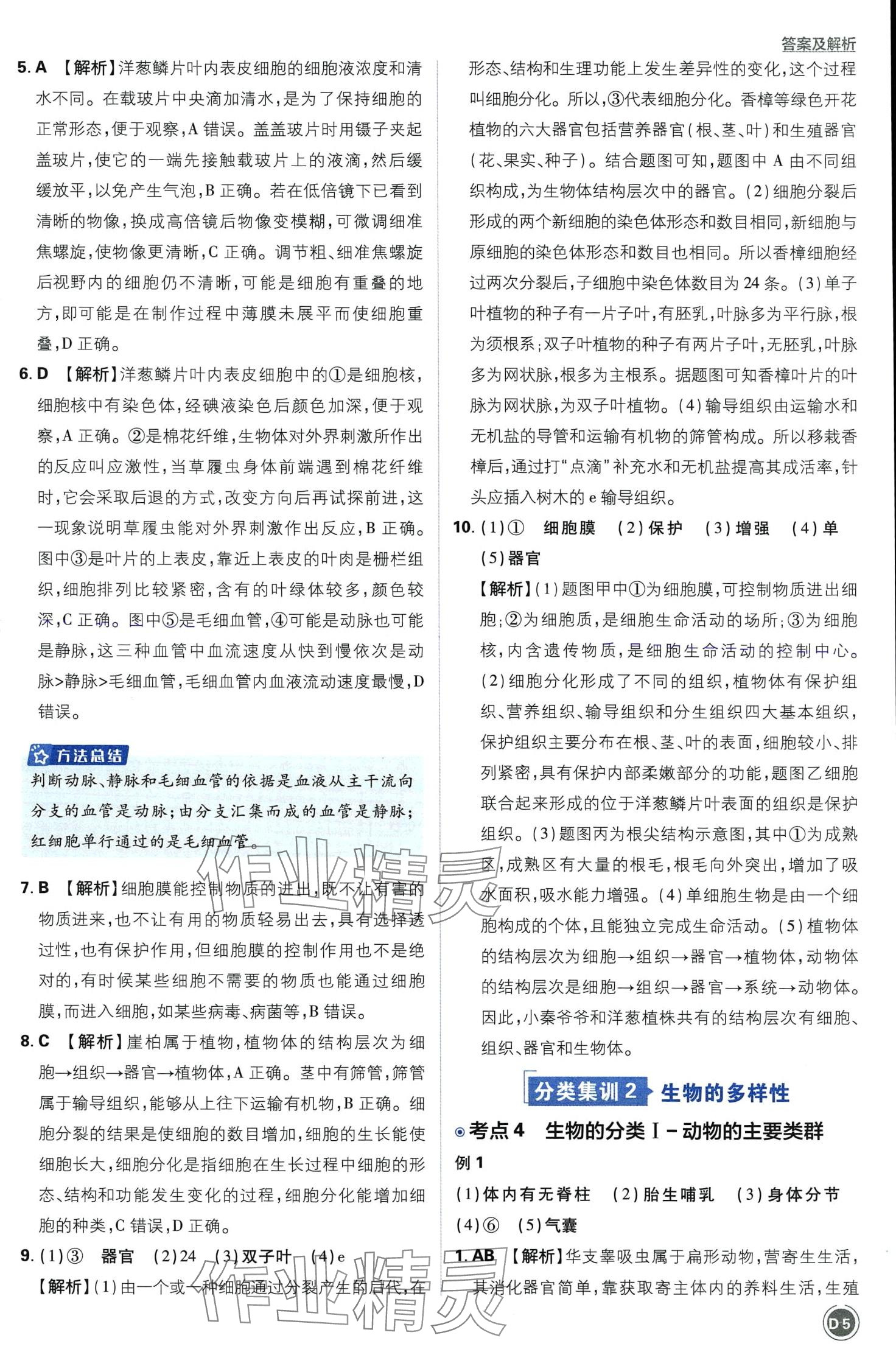 2024年中考必刷卷开明出版社生物&nbsp;第5页