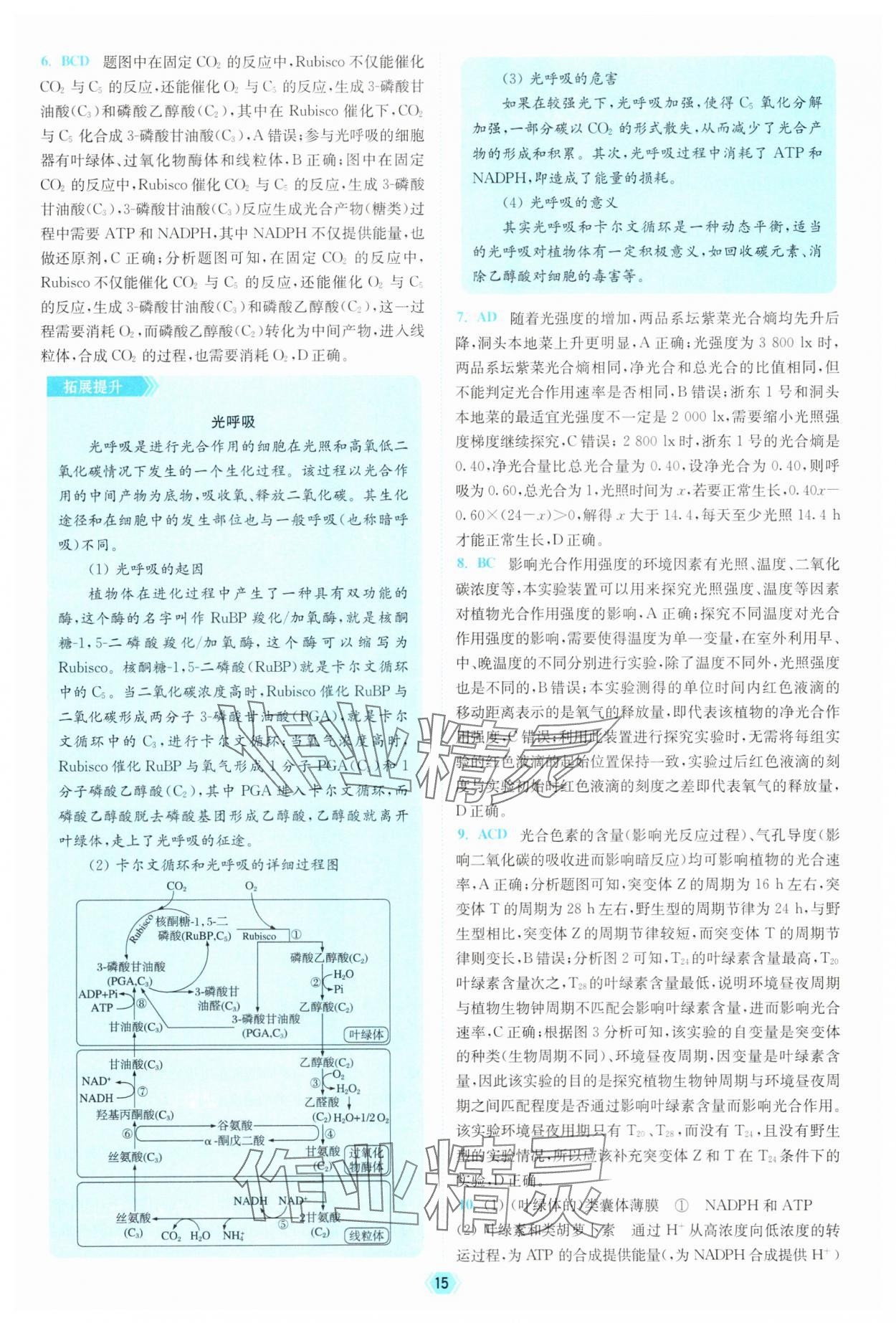 2025年南通小題天天練高中生物&nbsp;參考答案第15頁