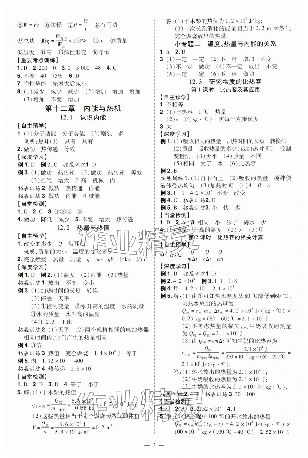 2024年同步?jīng)_刺九年級物理全一冊滬粵版 第3頁