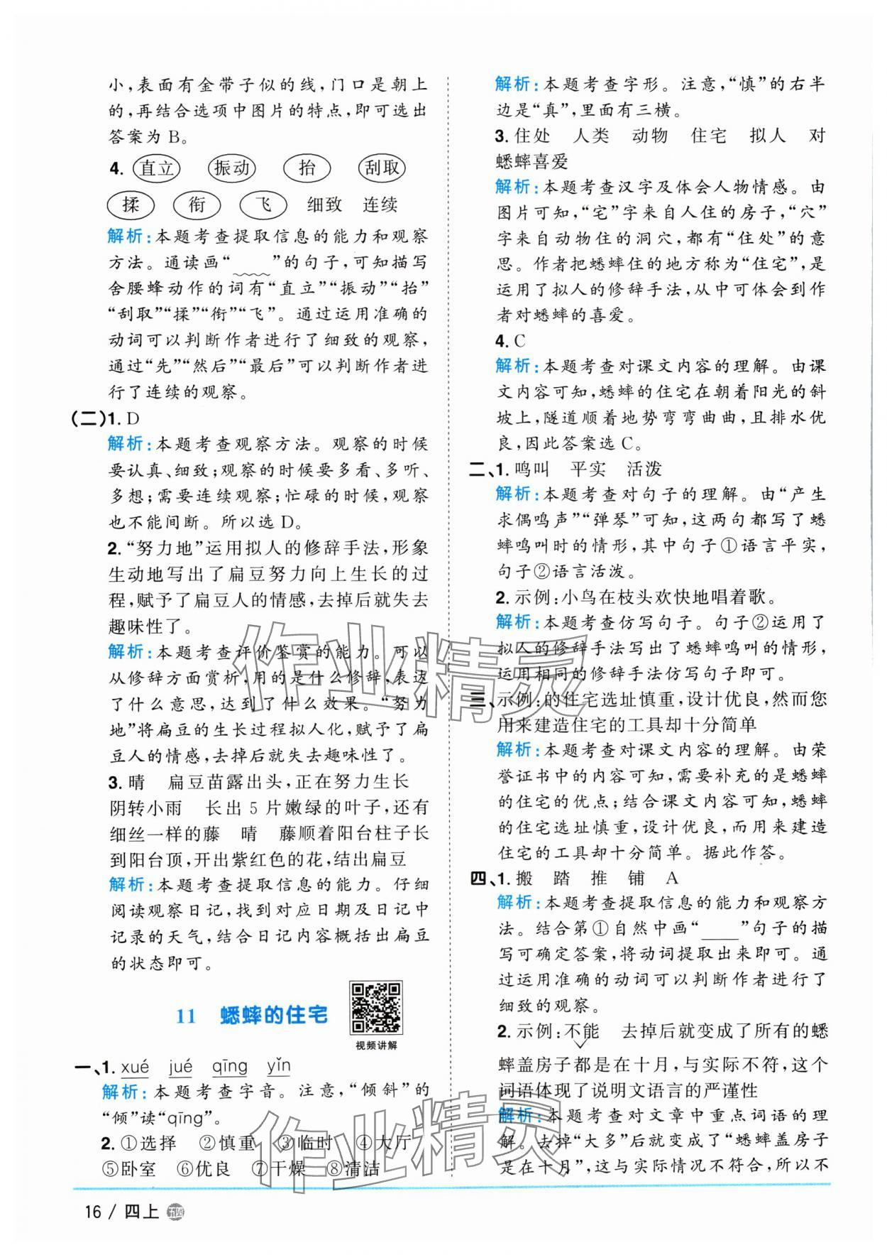 2024年阳光同学课时优化作业四年级语文上册人教版五四制 参考答案第16页