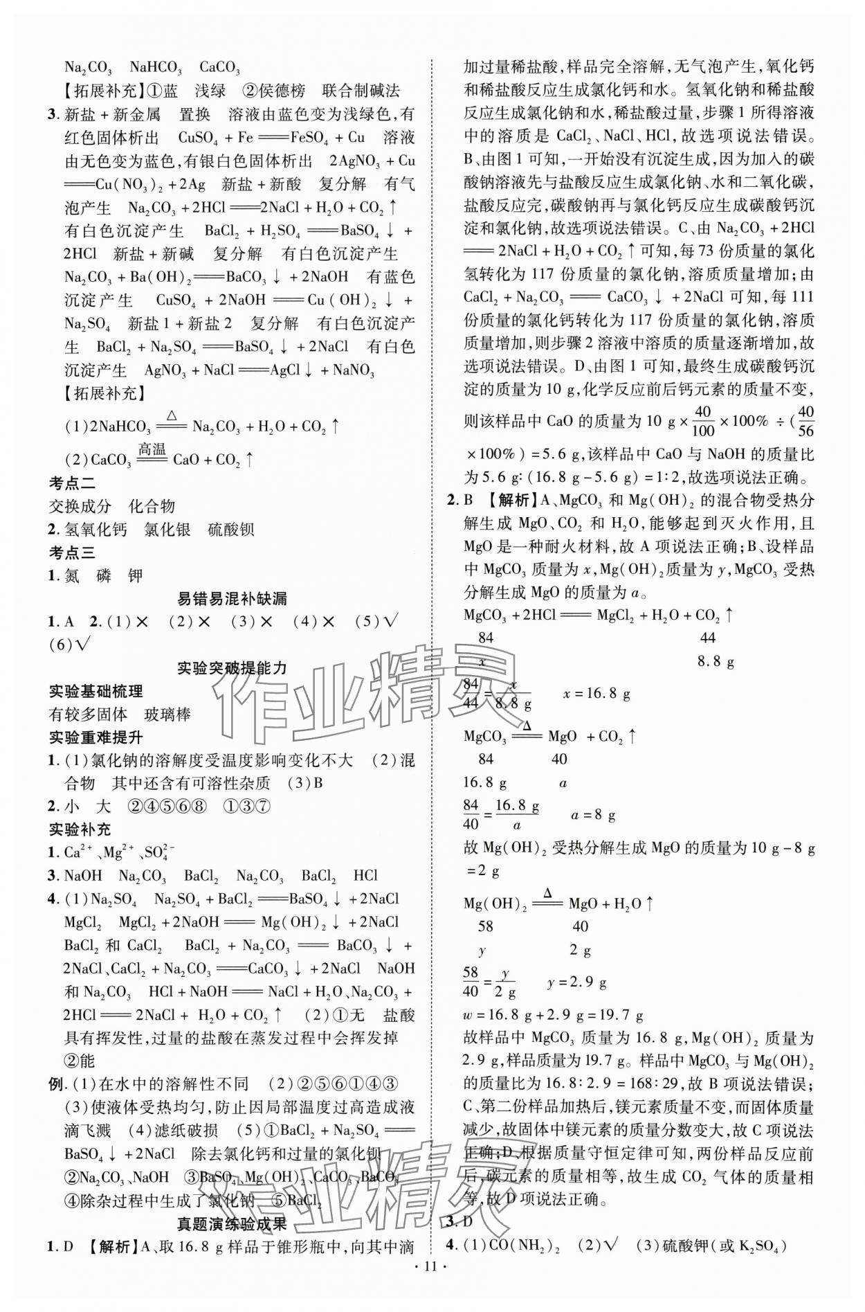 2025年中考必備云南美術出版社化學貴州專版 參考答案第11頁