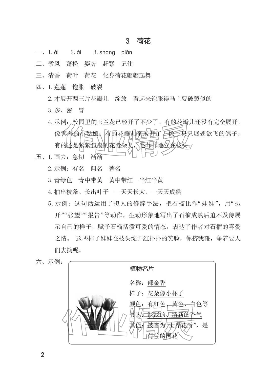 2026年学习与巩固三年级语文下册人教版&nbsp;参考答案第2页