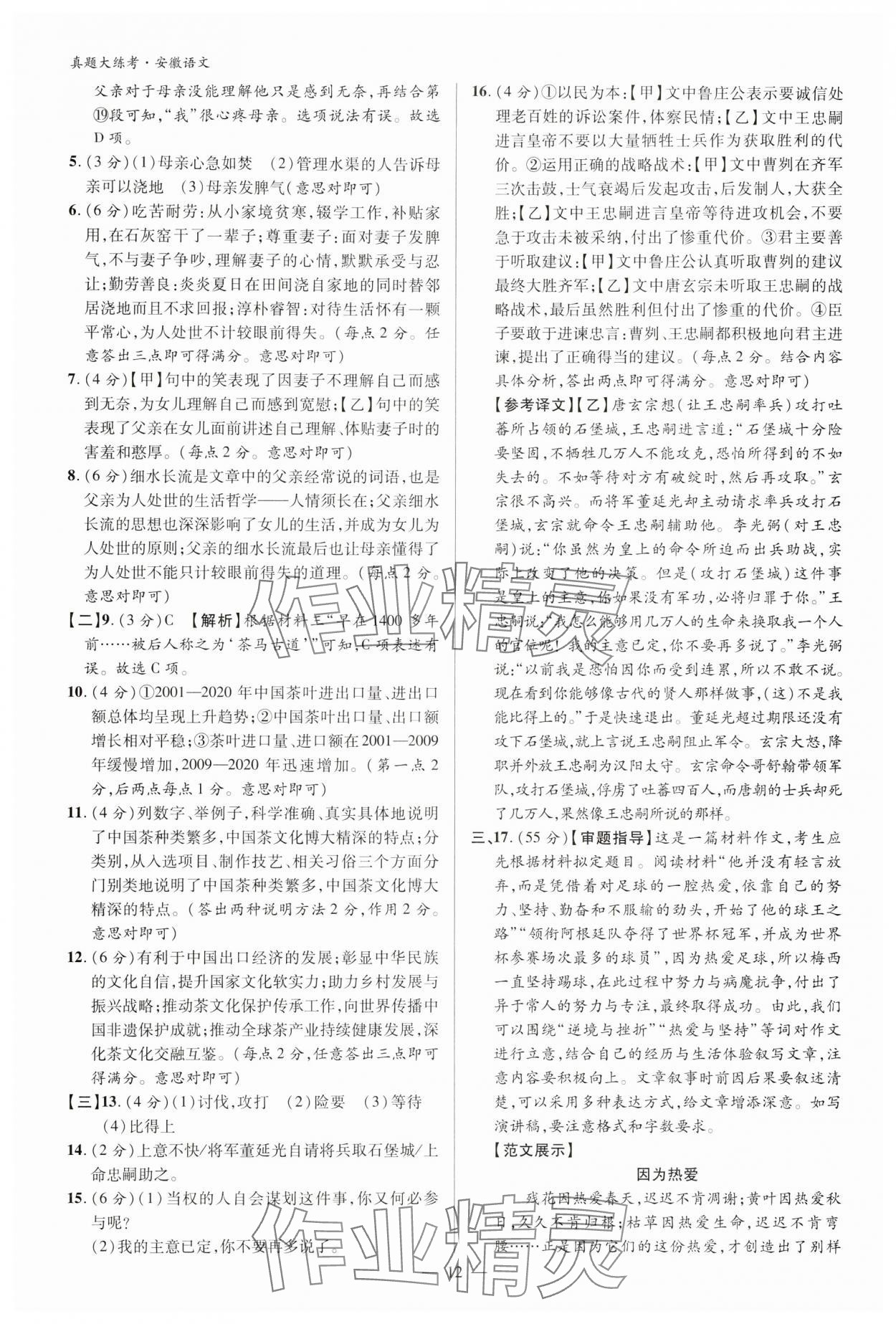 2024年中考真題大練考語文安徽專版 參考答案第11頁