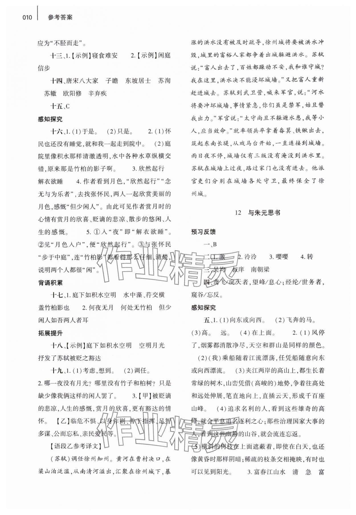 2024年基础训练大象出版社八年级语文上册人教版 参考答案第10页